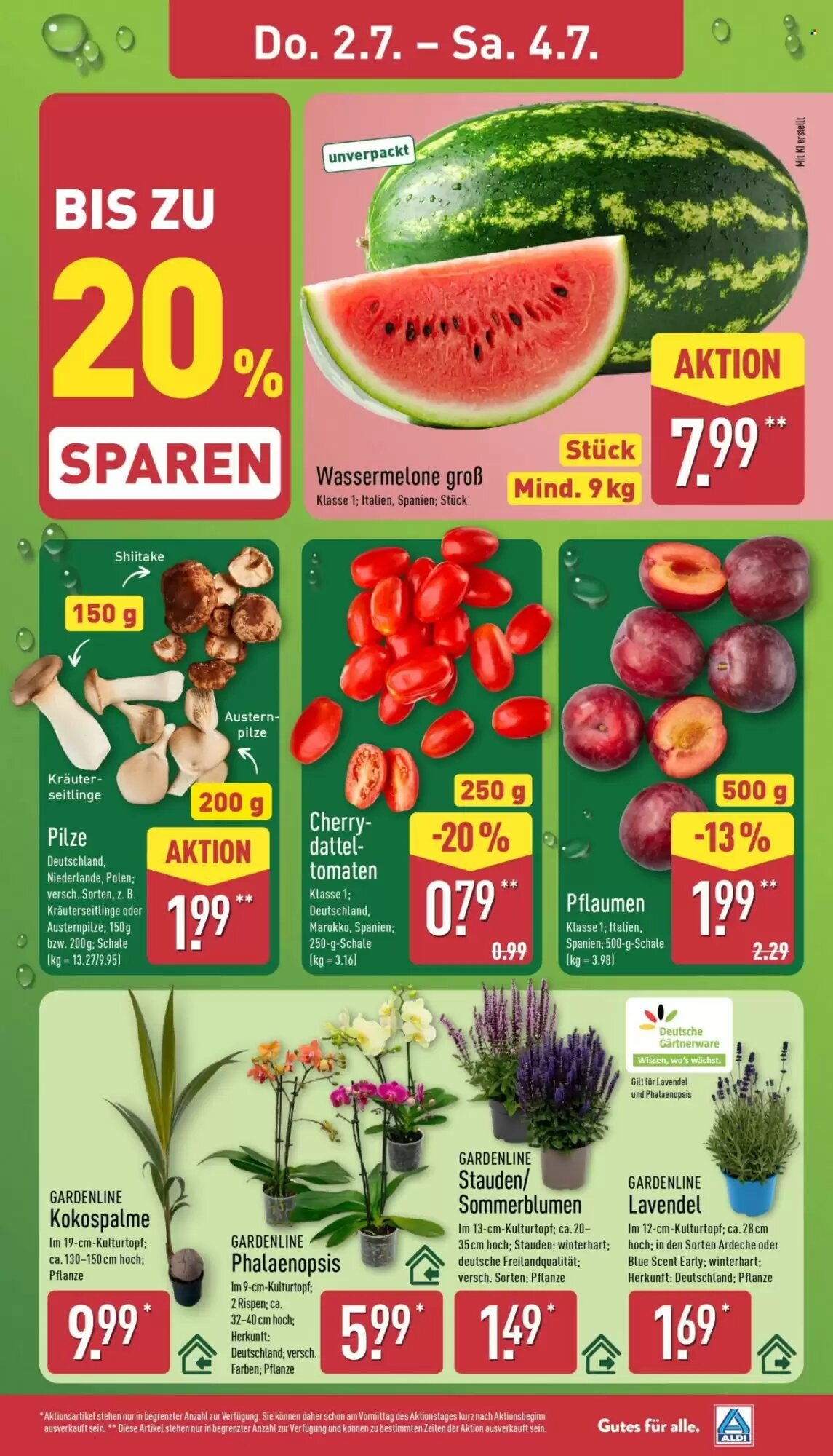 Aldi Nord Prospekt (ab 29.06.2026) zum Blättern - Seite 31