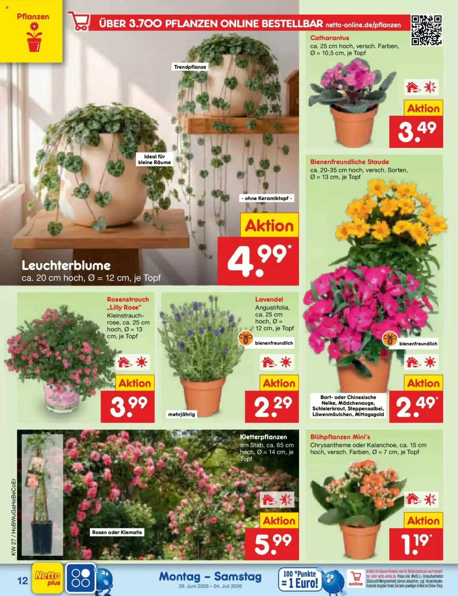 Netto Marken-Discount Prospekt (ab 29.06.2026) zum Blättern - Seite 16