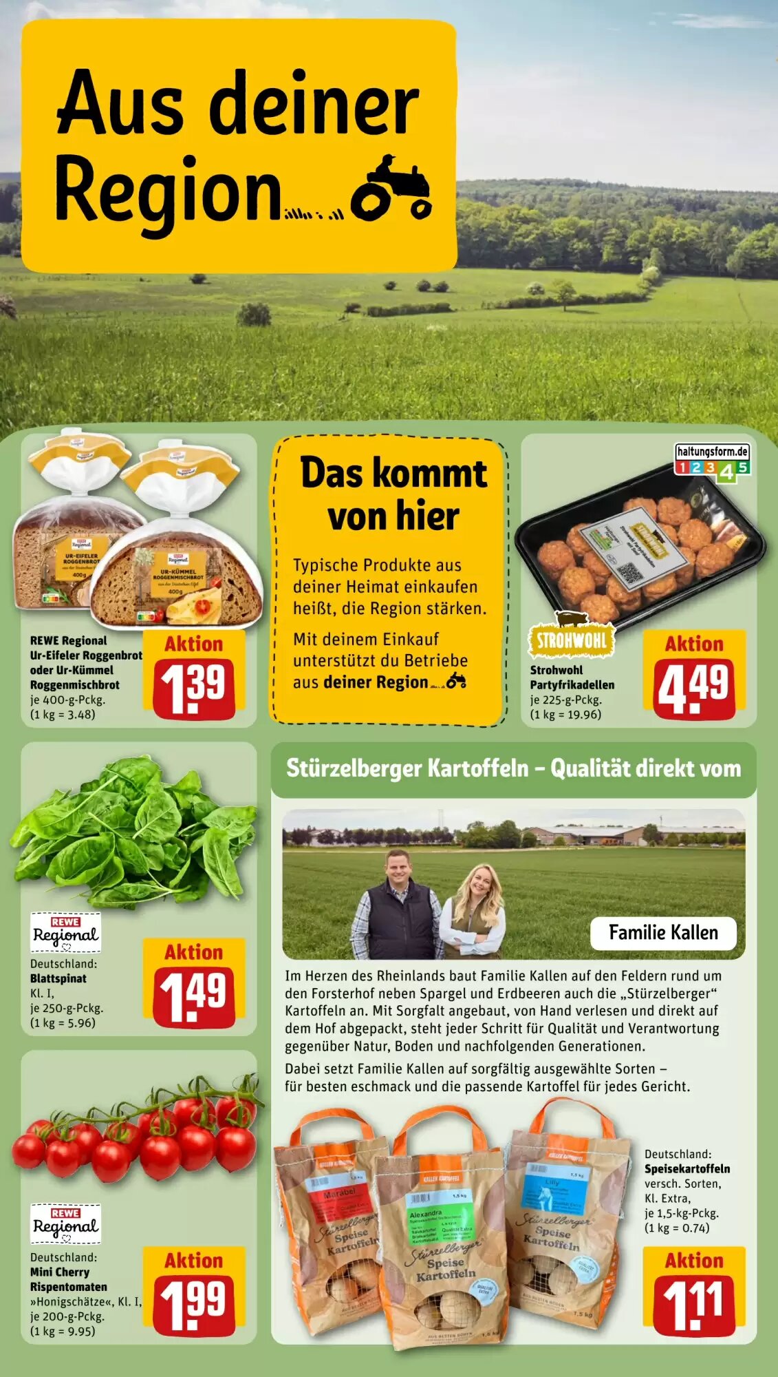 REWE PETZ Prospekt (ab 29.06.2026) zum Blättern - Seite 24