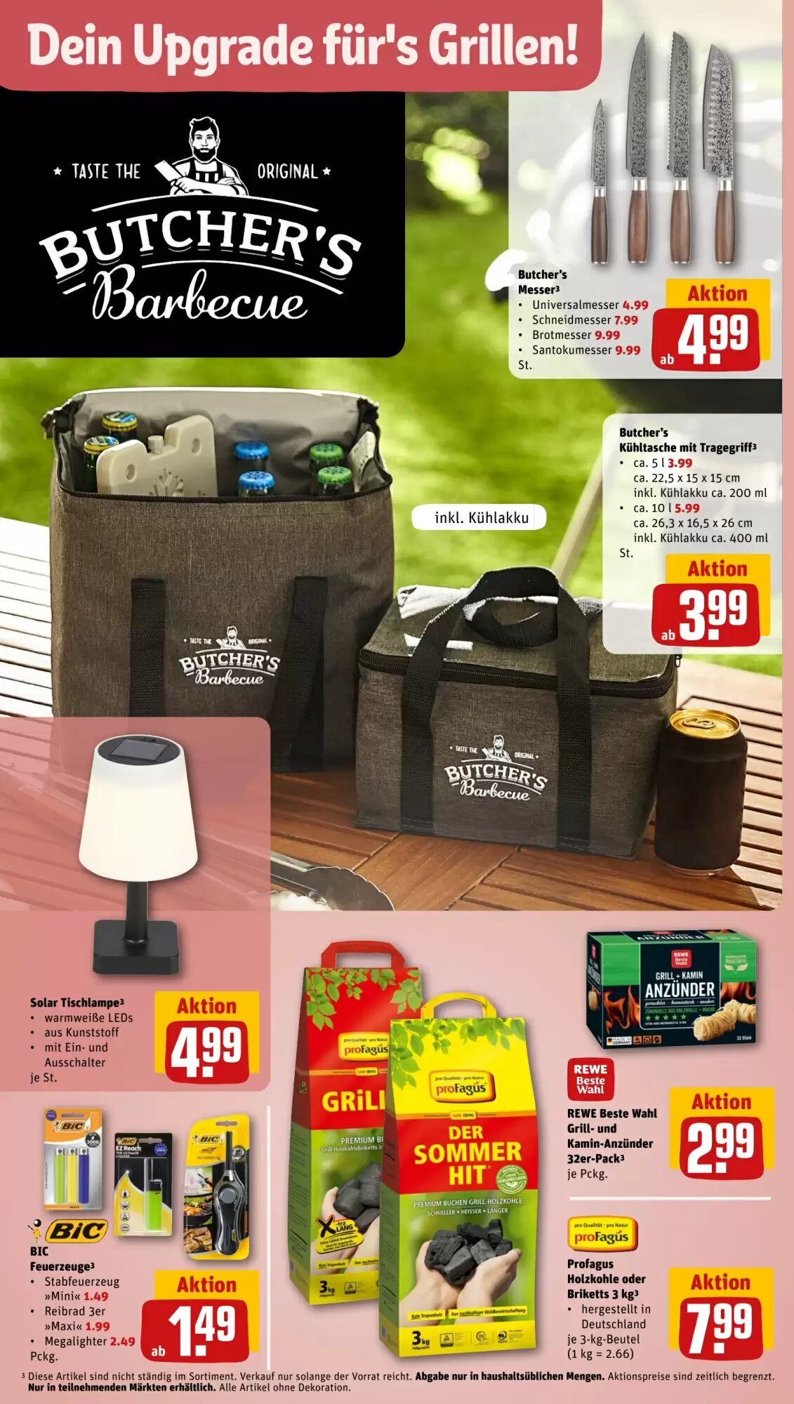 REWE PETZ Prospekt (ab 29.06.2026) zum Blättern - Seite 30