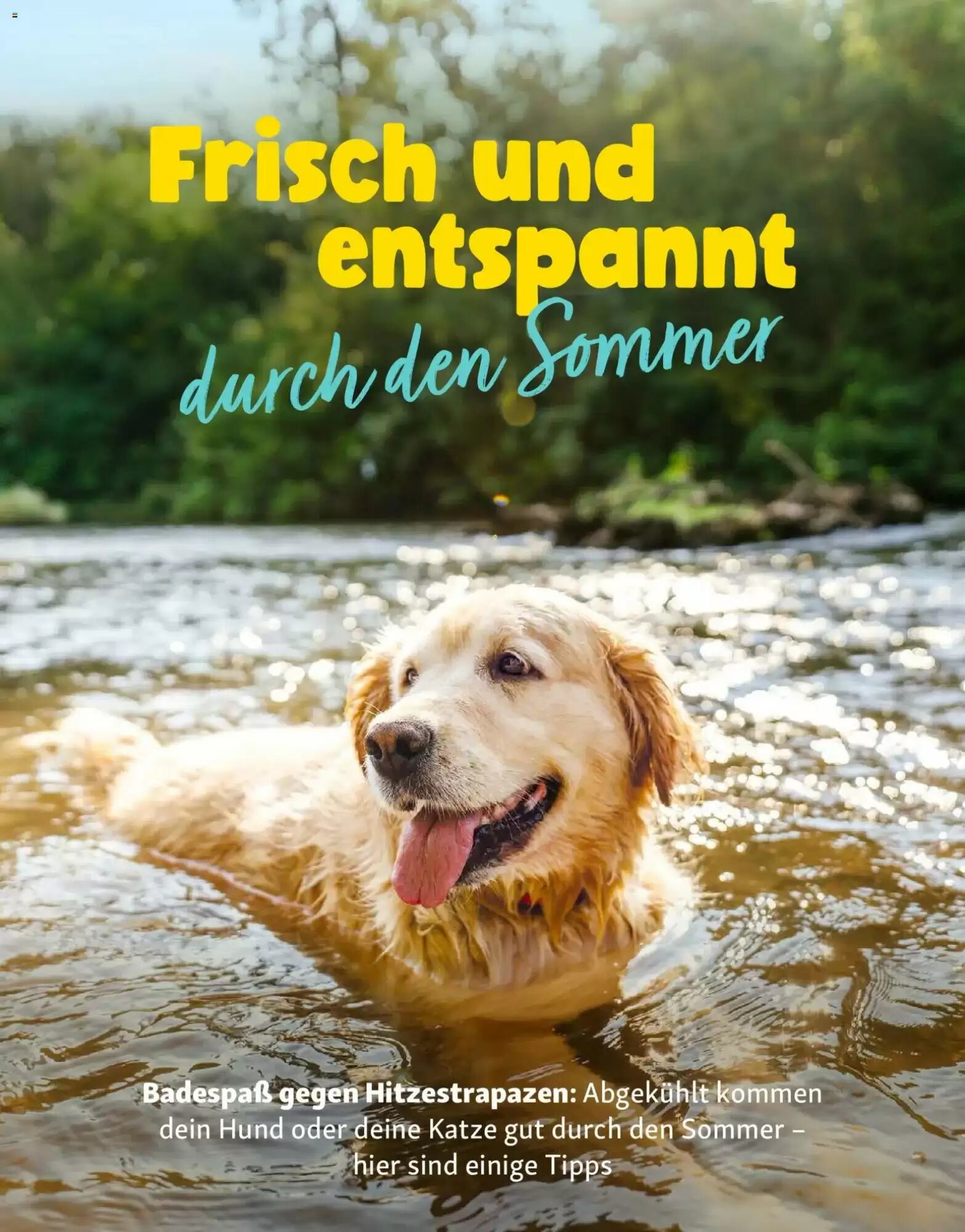 Fressnapf Prospekt (ab 01.07.2026) zum Blättern - Seite 16