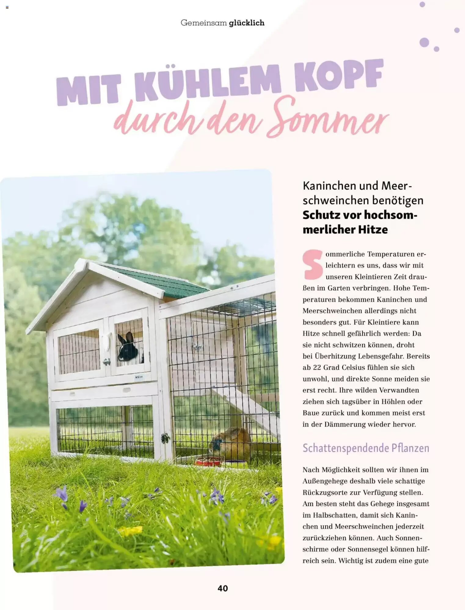 Fressnapf Prospekt (ab 01.07.2026) zum Blättern - Seite 40