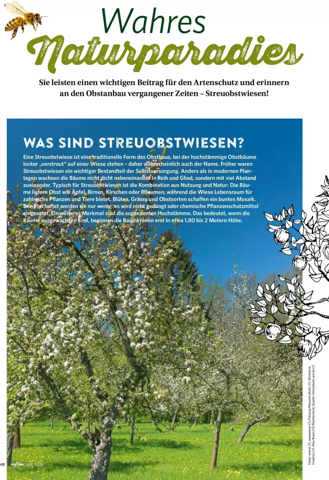 Norma Prospekt (ab 06.07.2026) zum Blättern - Seite 48