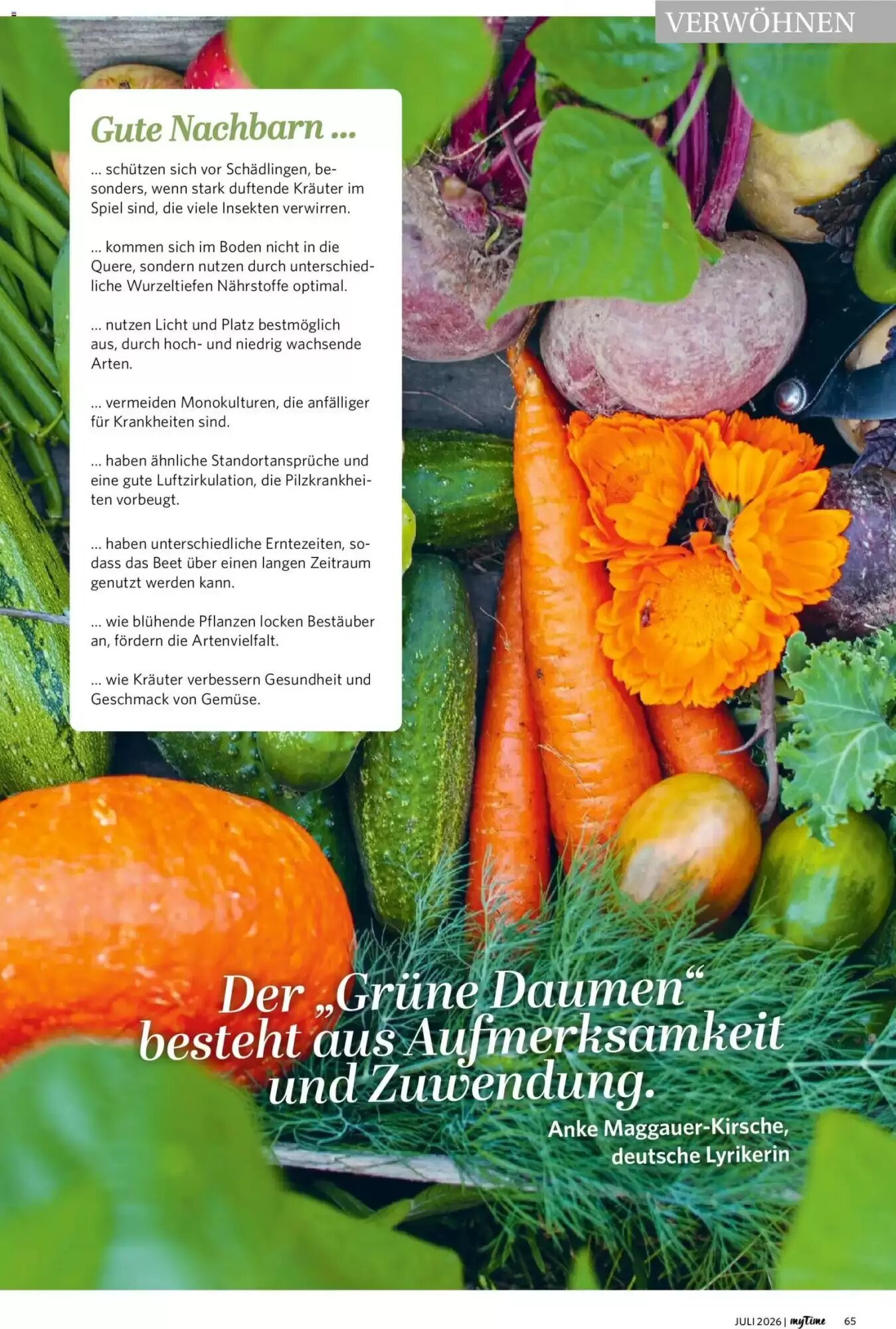 Norma Prospekt (ab 06.07.2026) zum Blättern - Seite 65