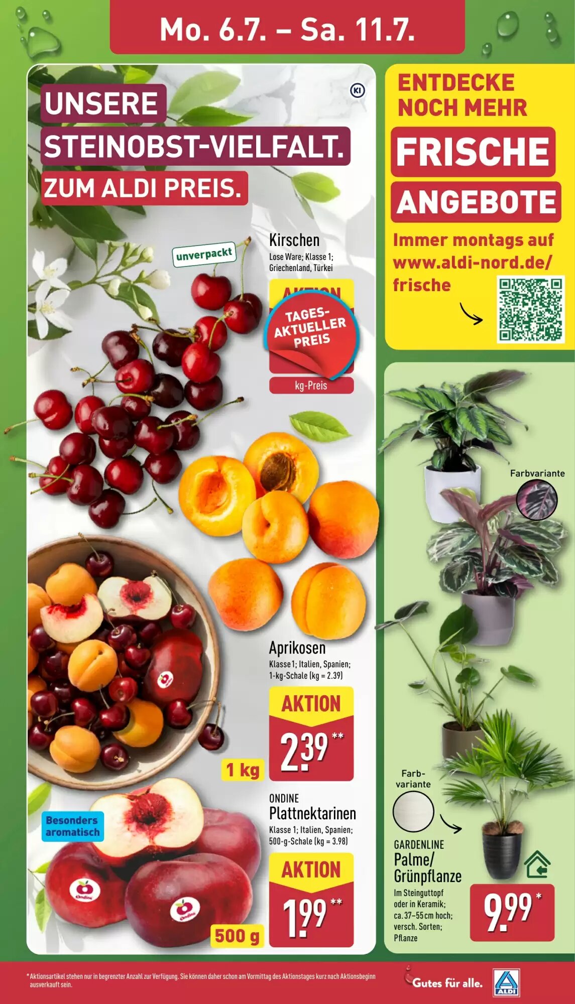 Aldi Nord Prospekt (ab 06.07.2026) zum Blättern - Seite 3