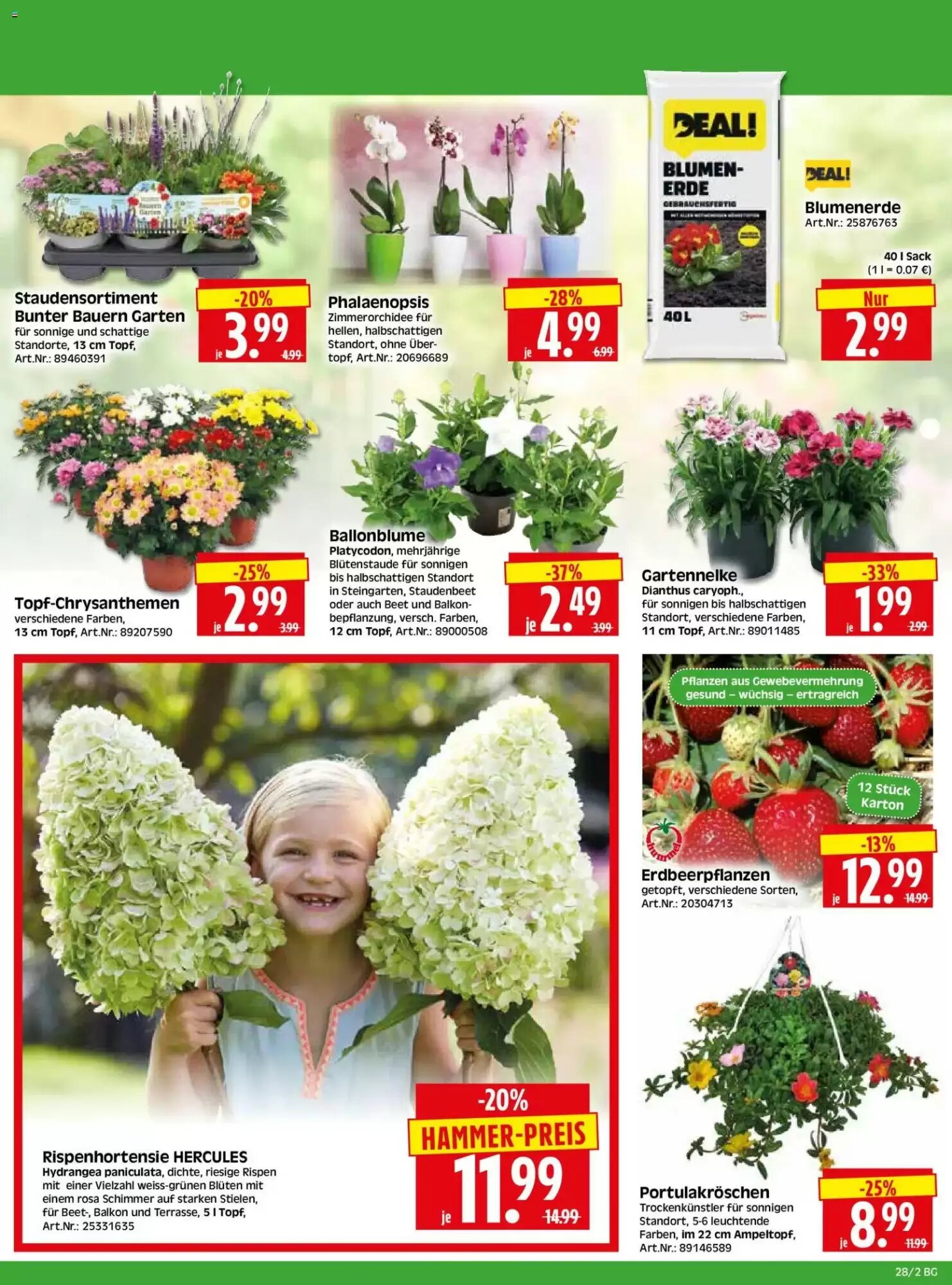 Herkules Baumarkt Prospekt (ab 06.07.2026) zum Blättern - Seite 2