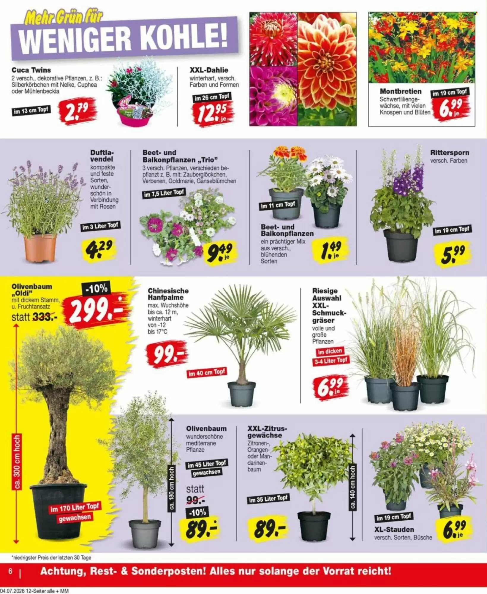 Repo Markt Prospekt (ab 06.07.2026) zum Blättern - Seite 6