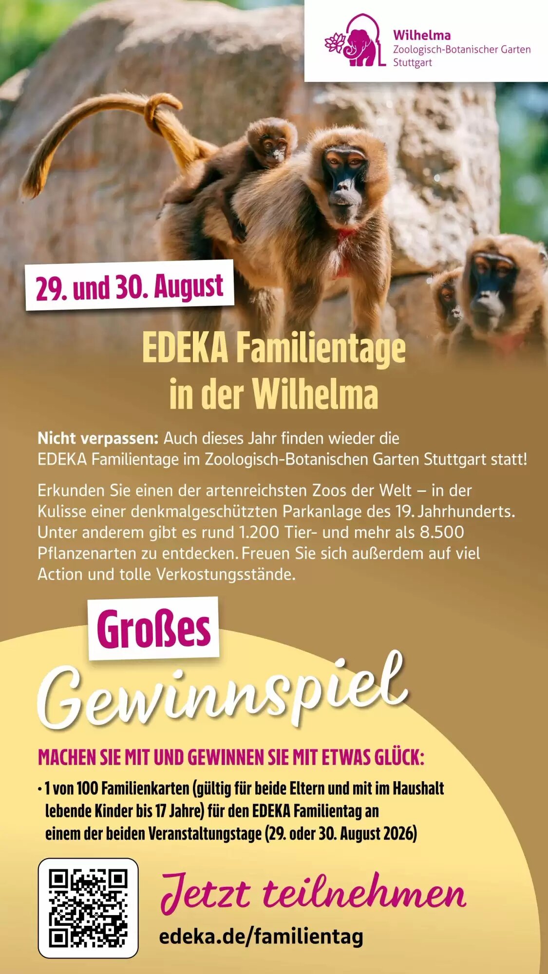 Edeka Niemerszein Prospekt (ab 06.07.2026) zum Blättern - Seite 53
