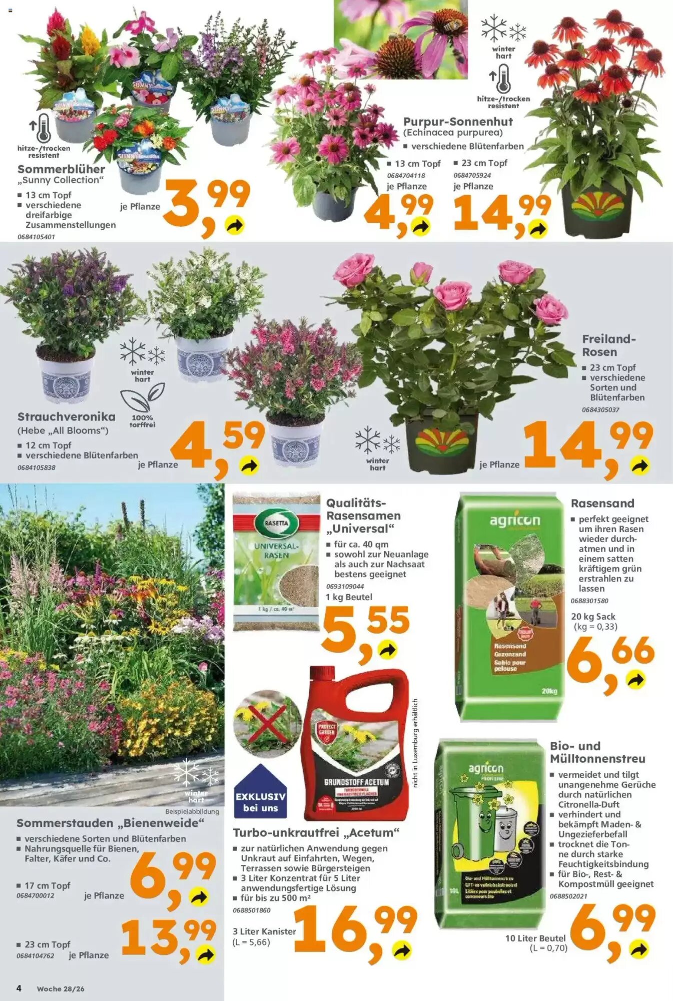 Globus Baumarkt Prospekt (ab 06.07.2026) zum Blättern - Seite 4
