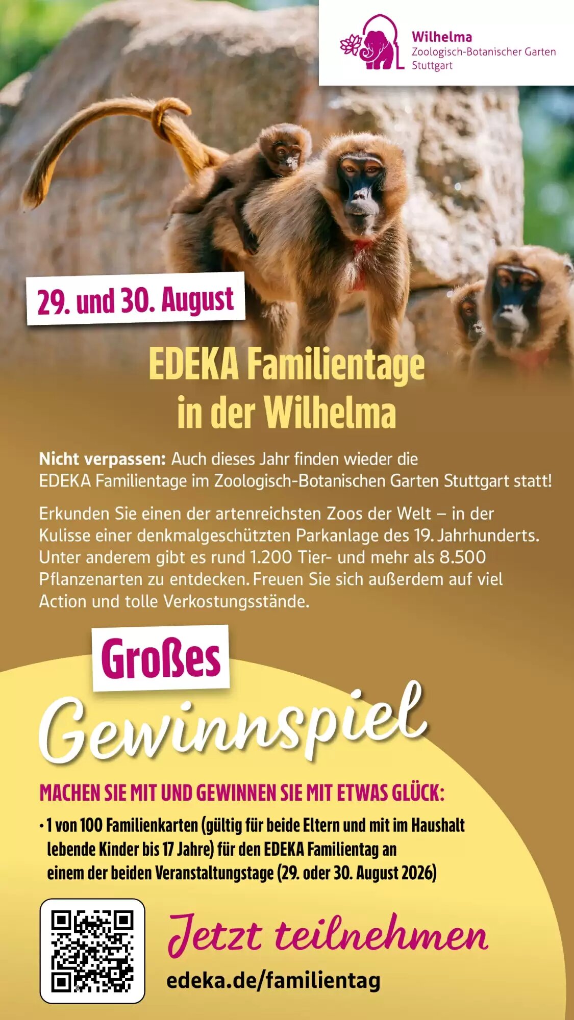 EDEKA Stralsund Prospekt (ab 06.07.2026) zum Blättern - Seite 43