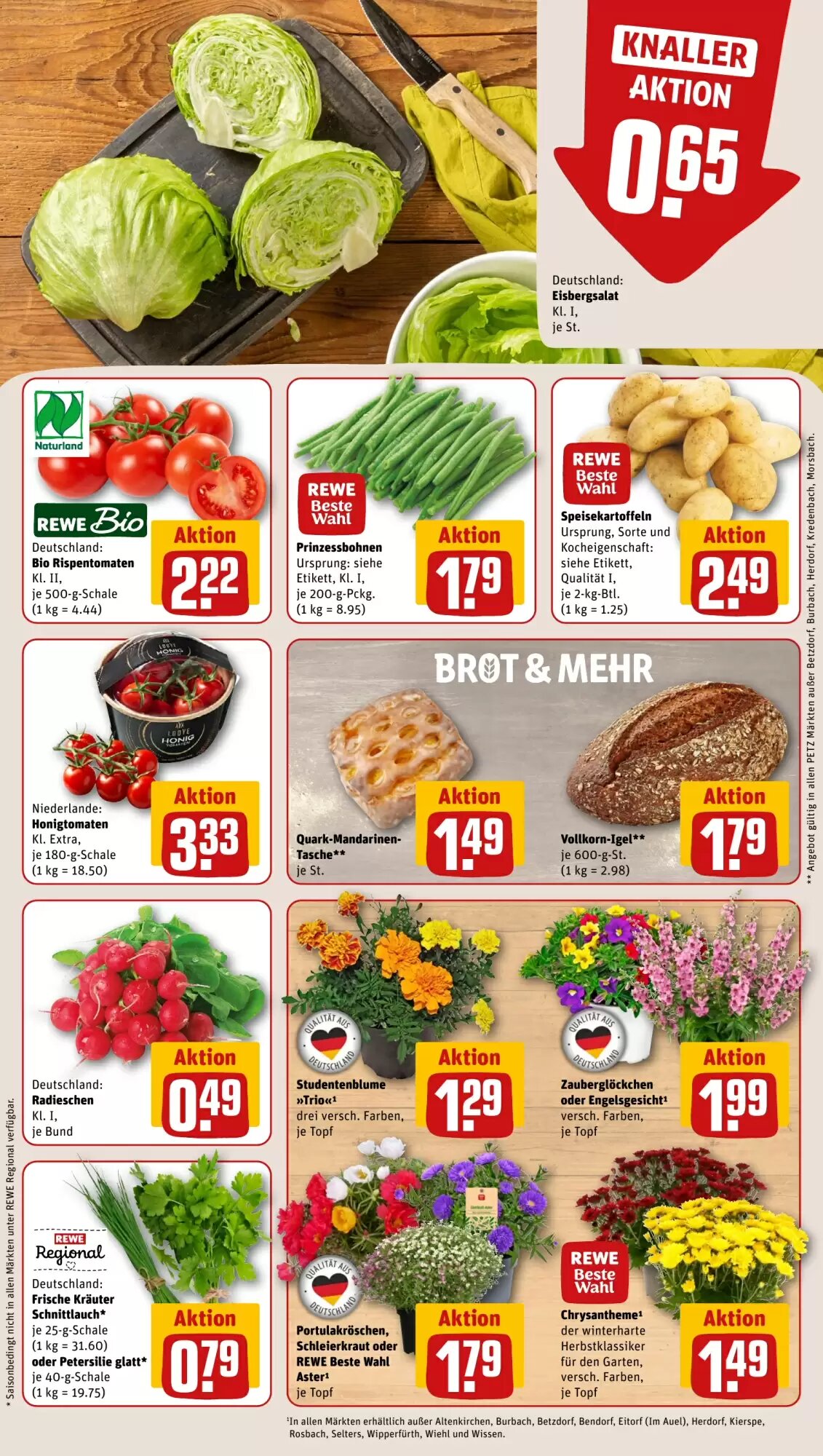REWE PETZ Prospekt (ab 06.07.2026) zum Blättern - Seite 11