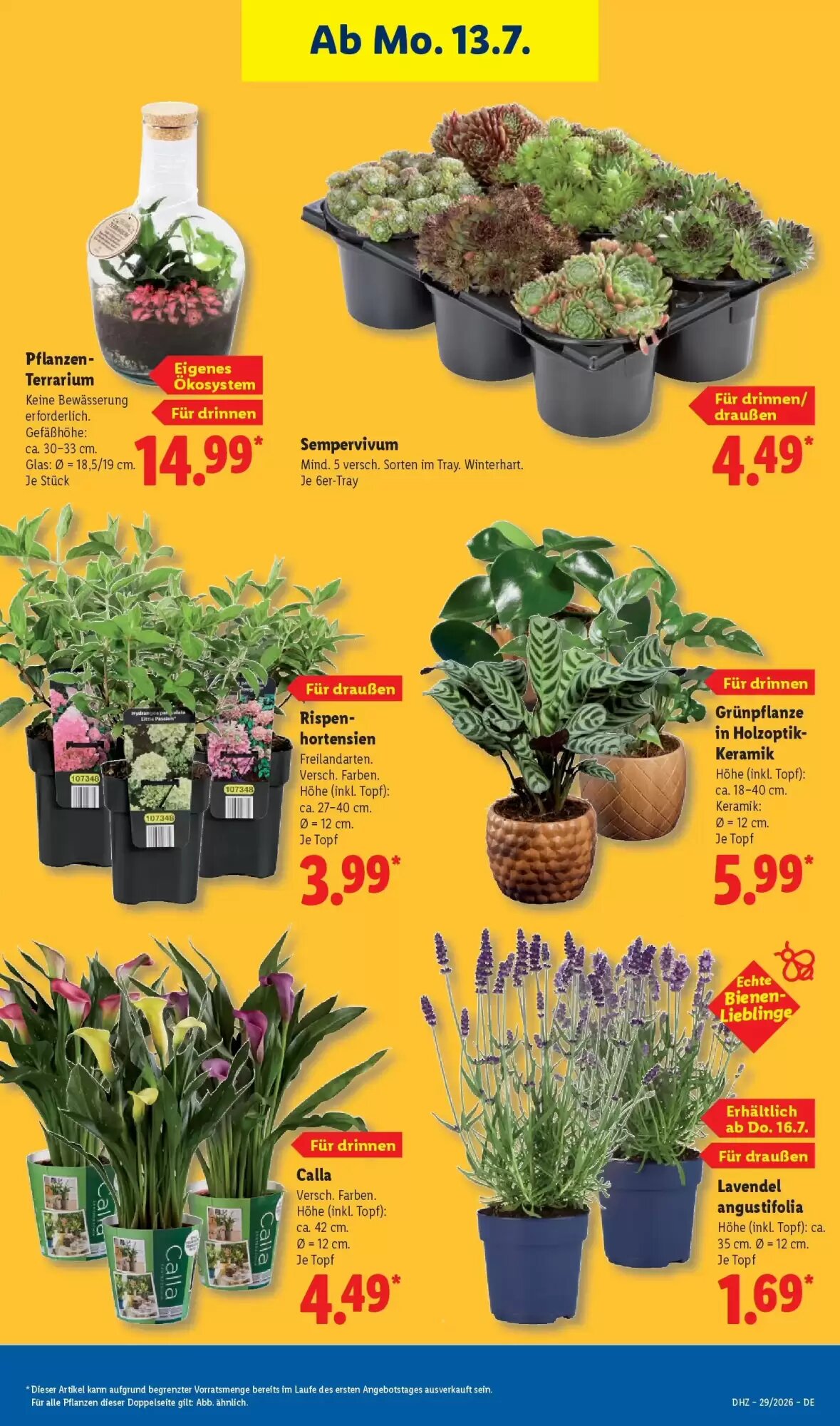Lidl Prospekt (ab 12.07.2026) zum Blättern - Seite 27