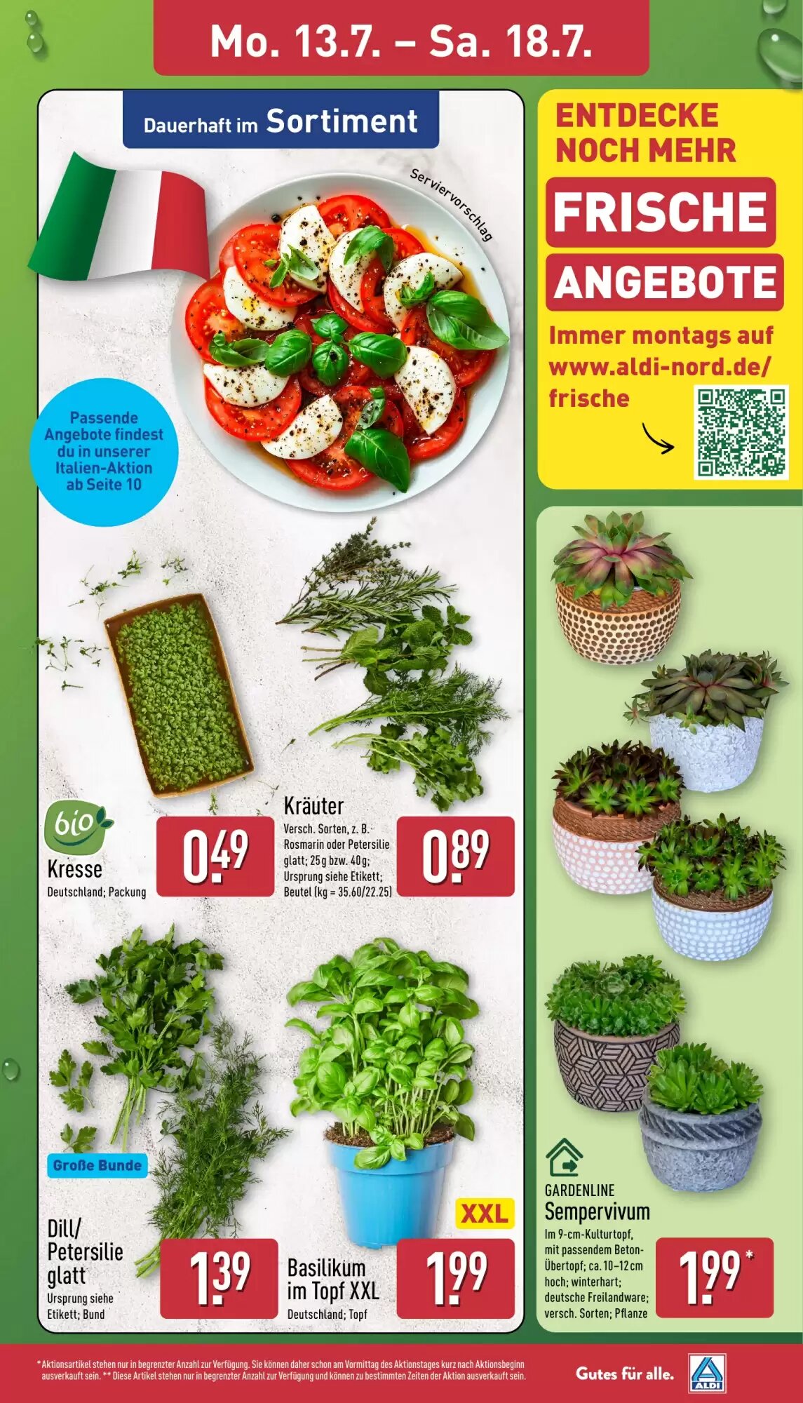 Aldi Nord Prospekt (ab 13.07.2026) zum Blättern - Seite 3