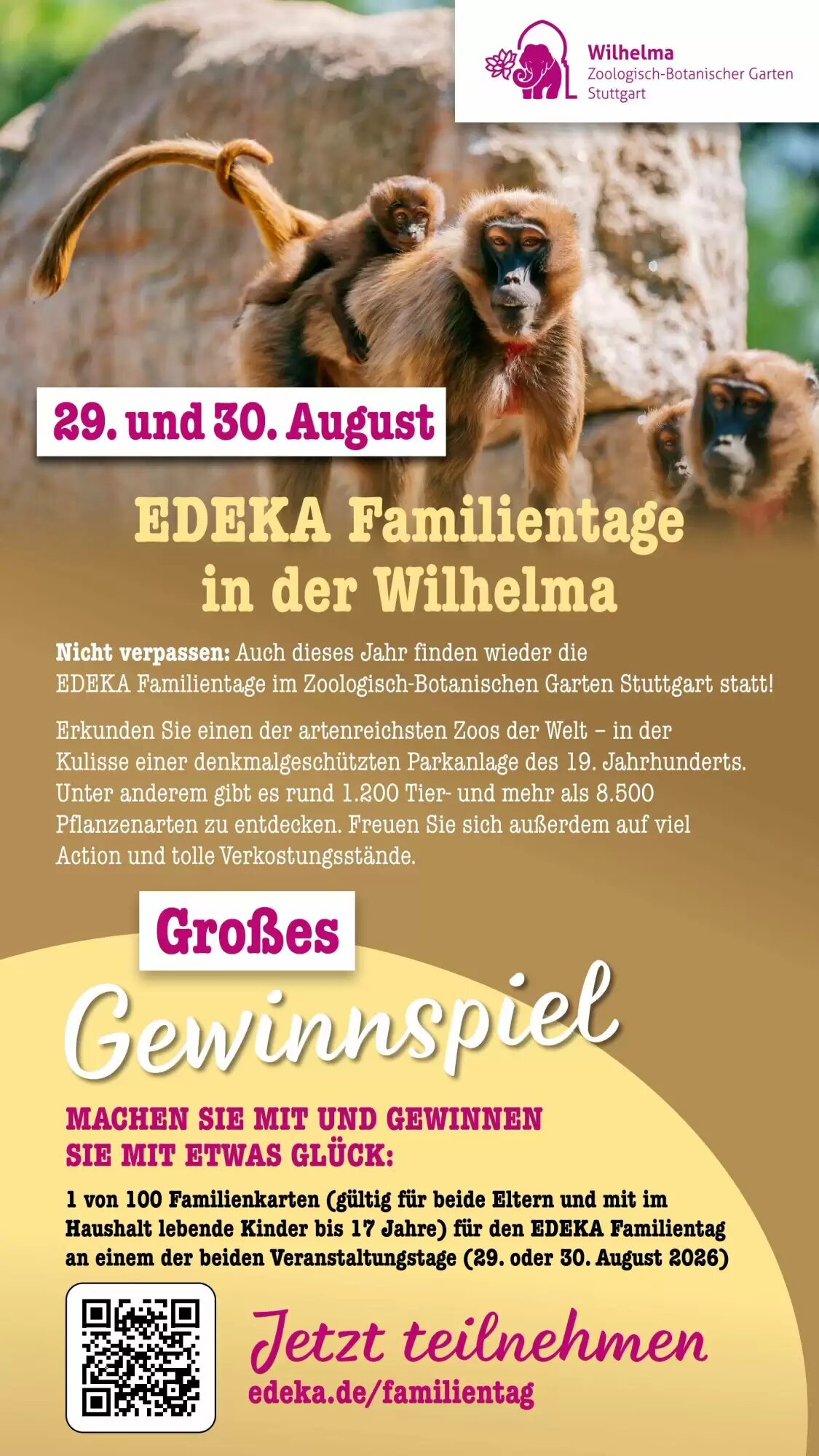 Scheck-in-Center Prospekt (ab 13.07.2026) zum Blättern - Seite 73