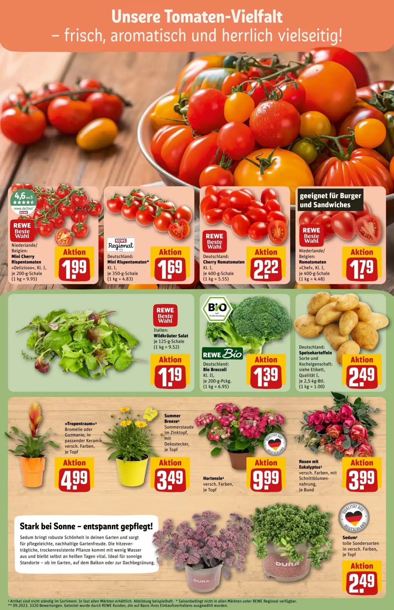 REWE Center Prospekt (ab 13.07.2026) zum Blättern - Seite 7
