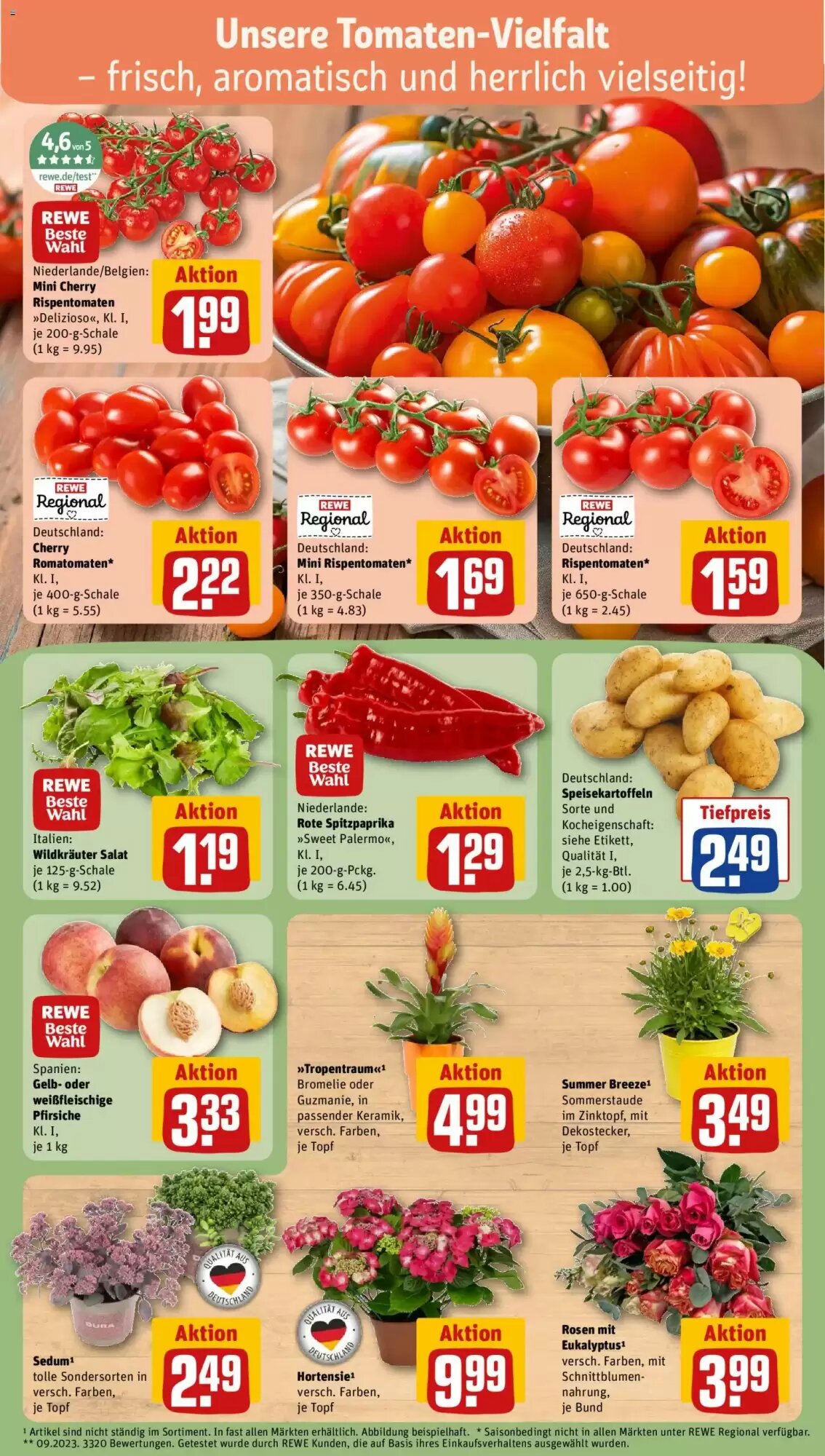 REWE Kaufpark Prospekt (ab 13.07.2026) zum Blättern - Seite 5