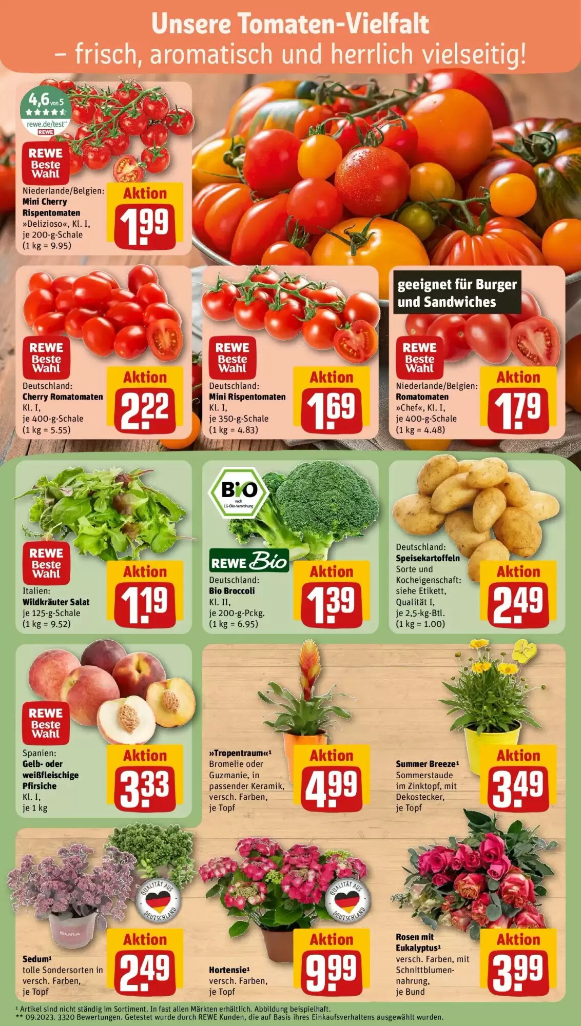 REWE Prospekt (ab 13.07.2026) zum Blättern - Seite 7
