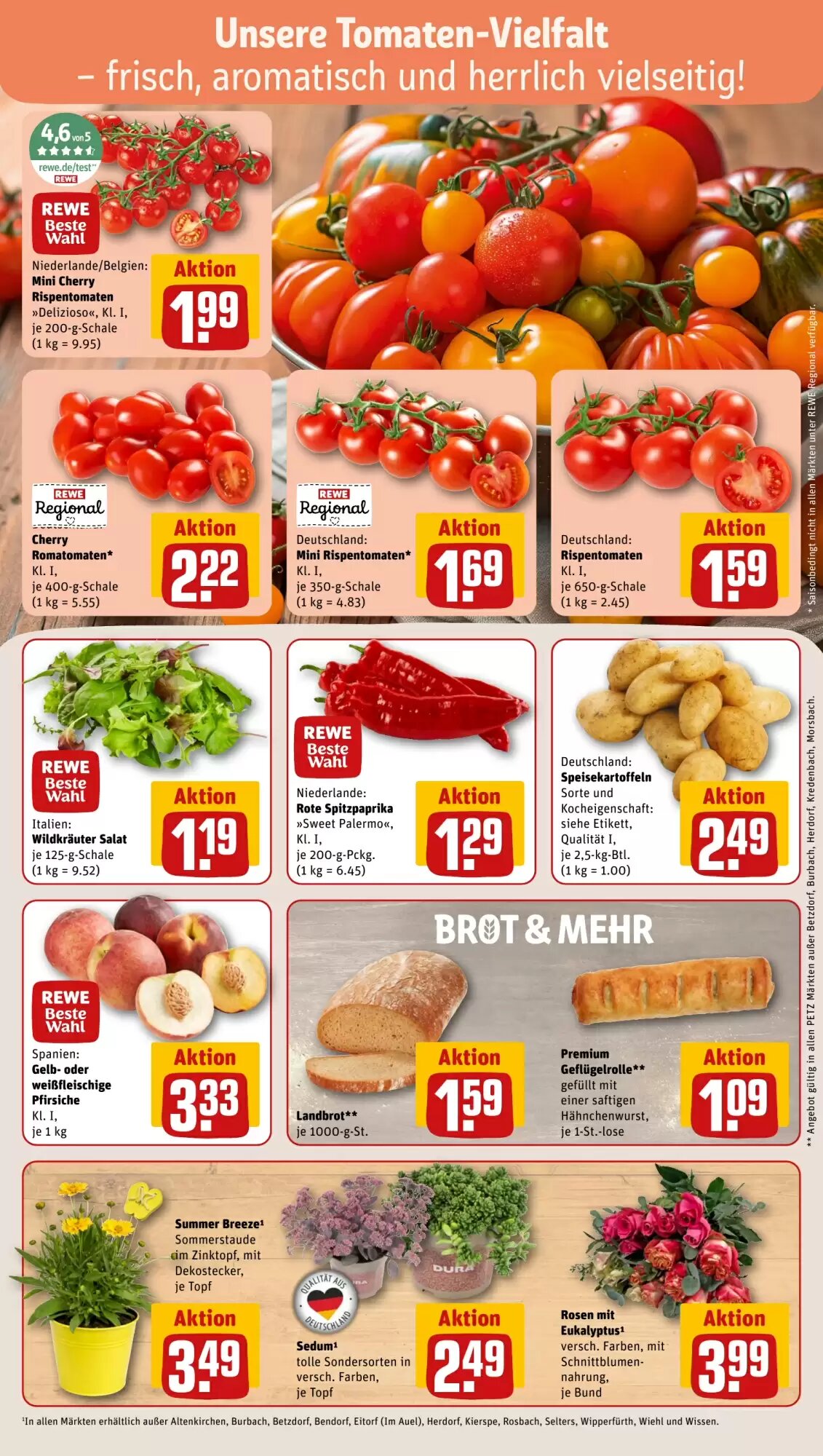 REWE PETZ Prospekt (ab 13.07.2026) zum Blättern - Seite 7