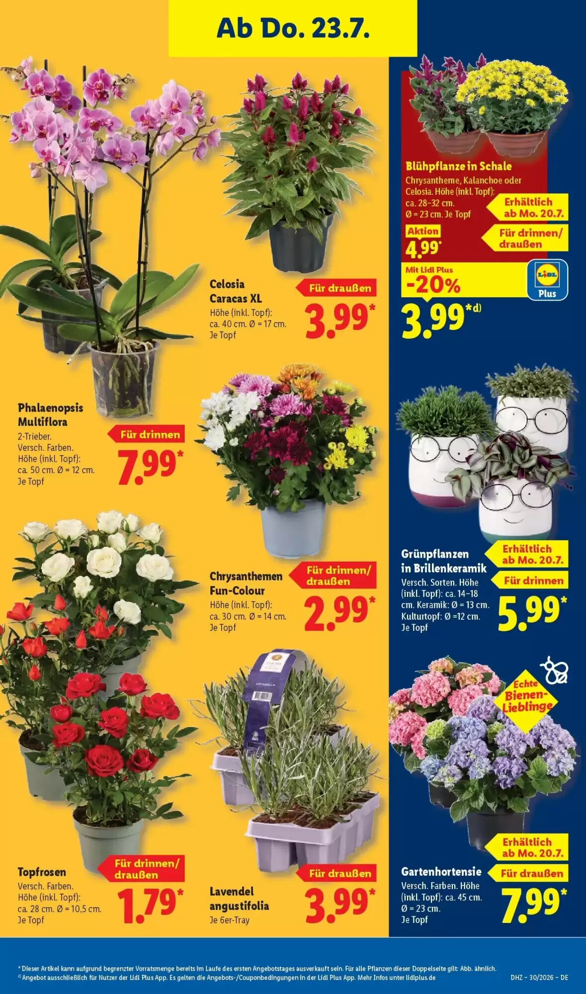 Lidl Prospekt (ab 19.07.2026) zum Blättern - Seite 29
