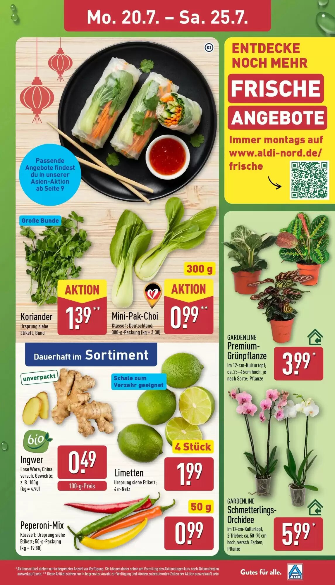 Aldi Nord Prospekt (ab 19.07.2026) zum Blättern - Seite 3