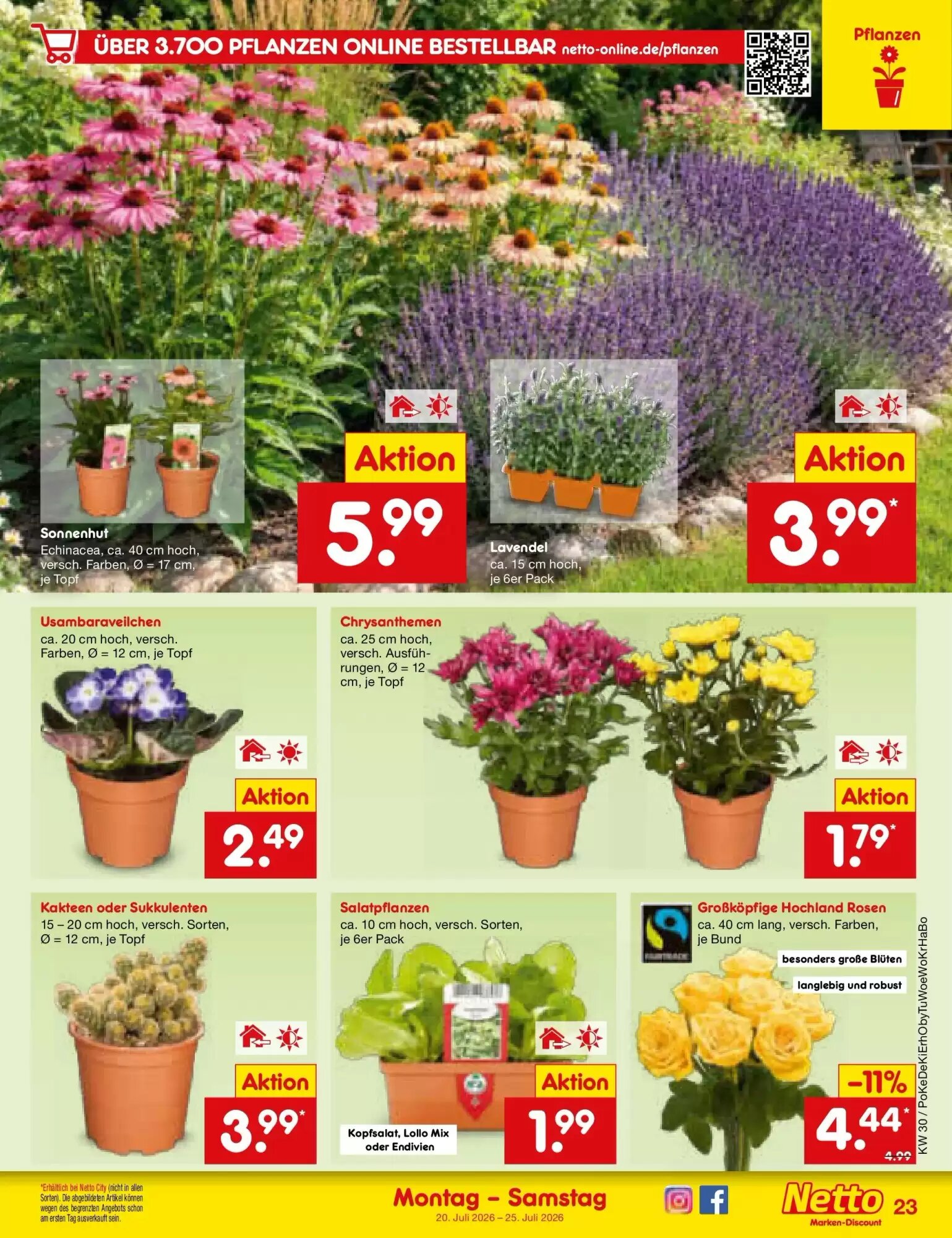 Netto Marken-Discount Prospekt (ab 20.07.2026) zum Blättern - Seite 39
