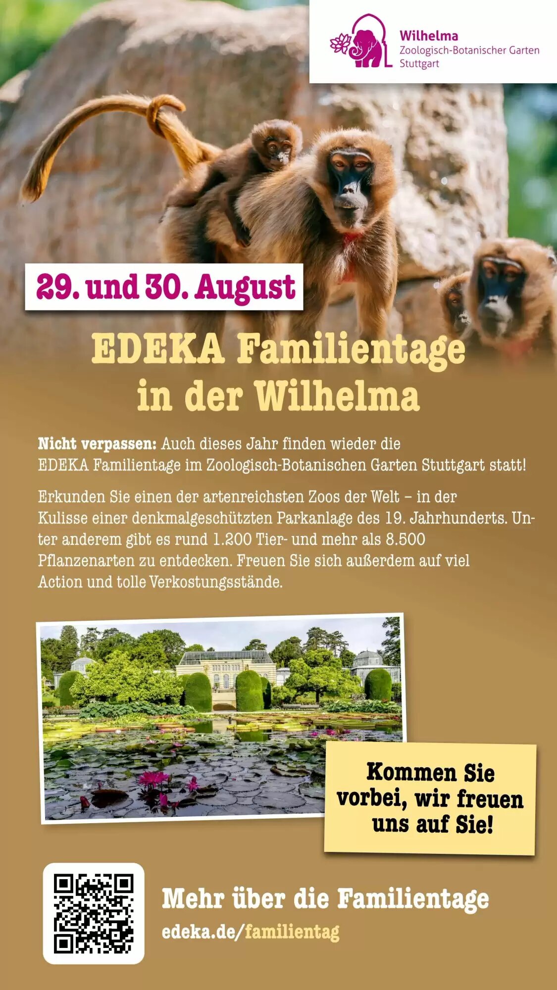 Scheck-in-Center Prospekt (ab 20.07.2026) zum Blättern - Seite 71