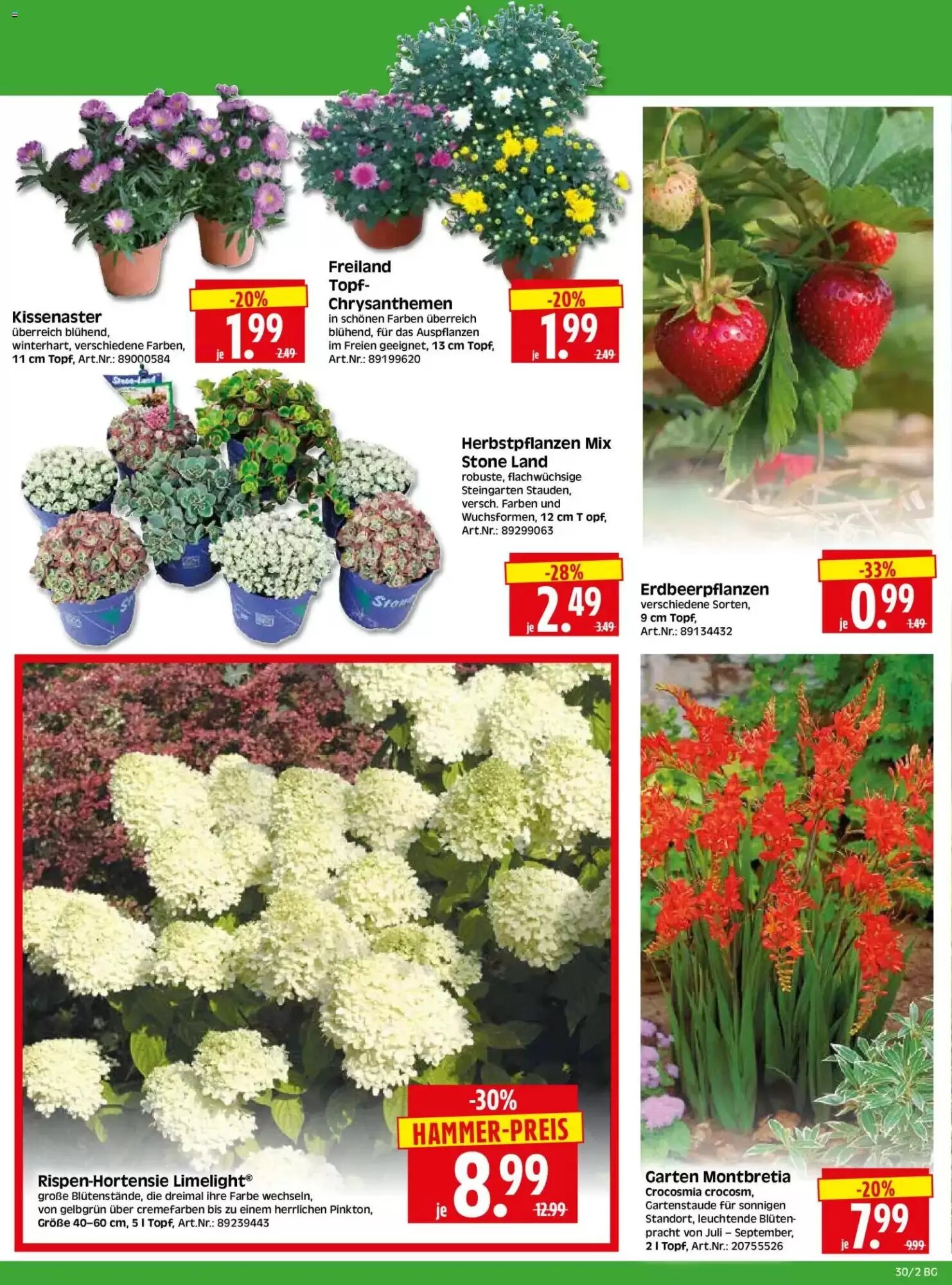 Herkules Baumarkt Prospekt (ab 20.07.2026) zum Blättern - Seite 2