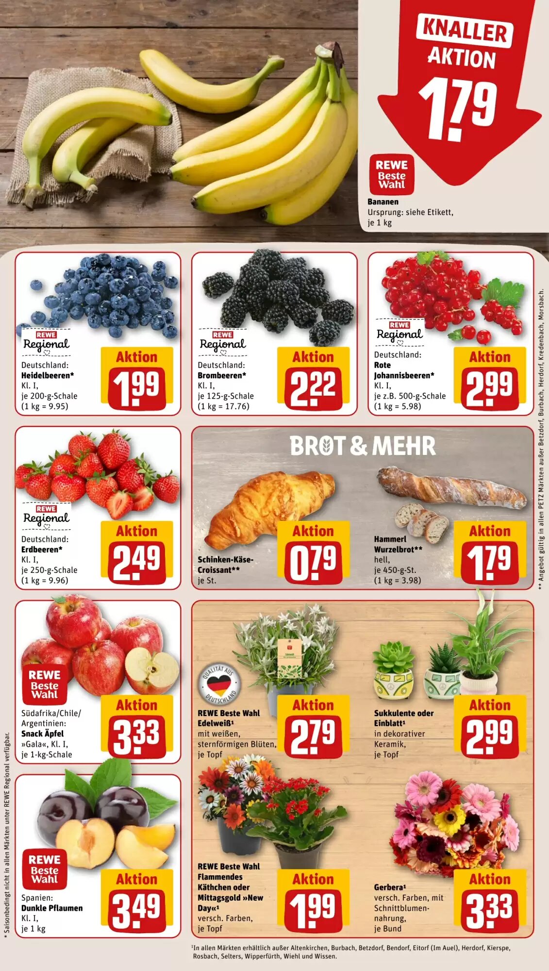 REWE PETZ Prospekt (ab 20.07.2026) zum Blättern - Seite 9