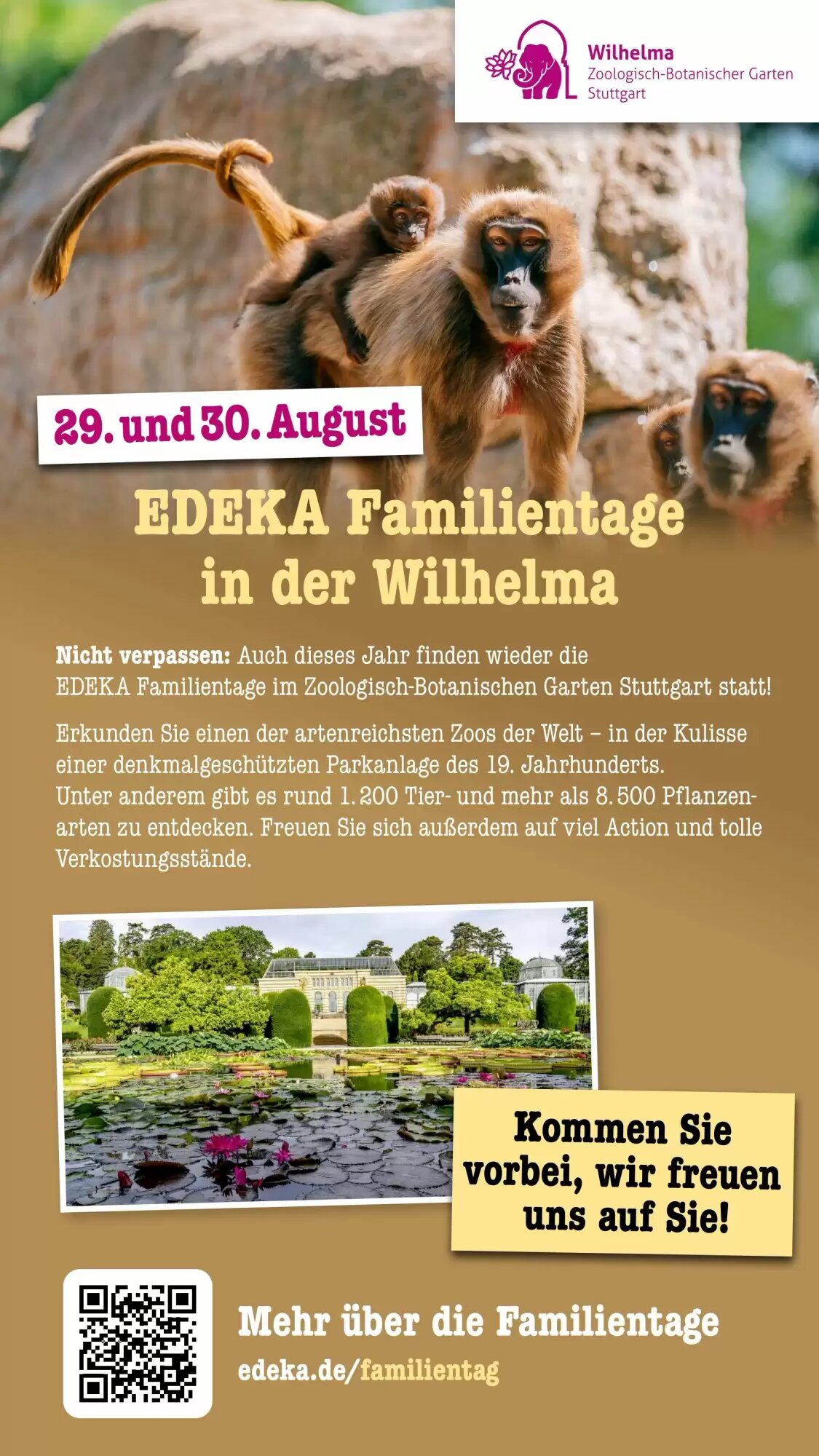 Scheck-in-Center Prospekt (ab 27.07.2026) zum Blättern - Seite 67