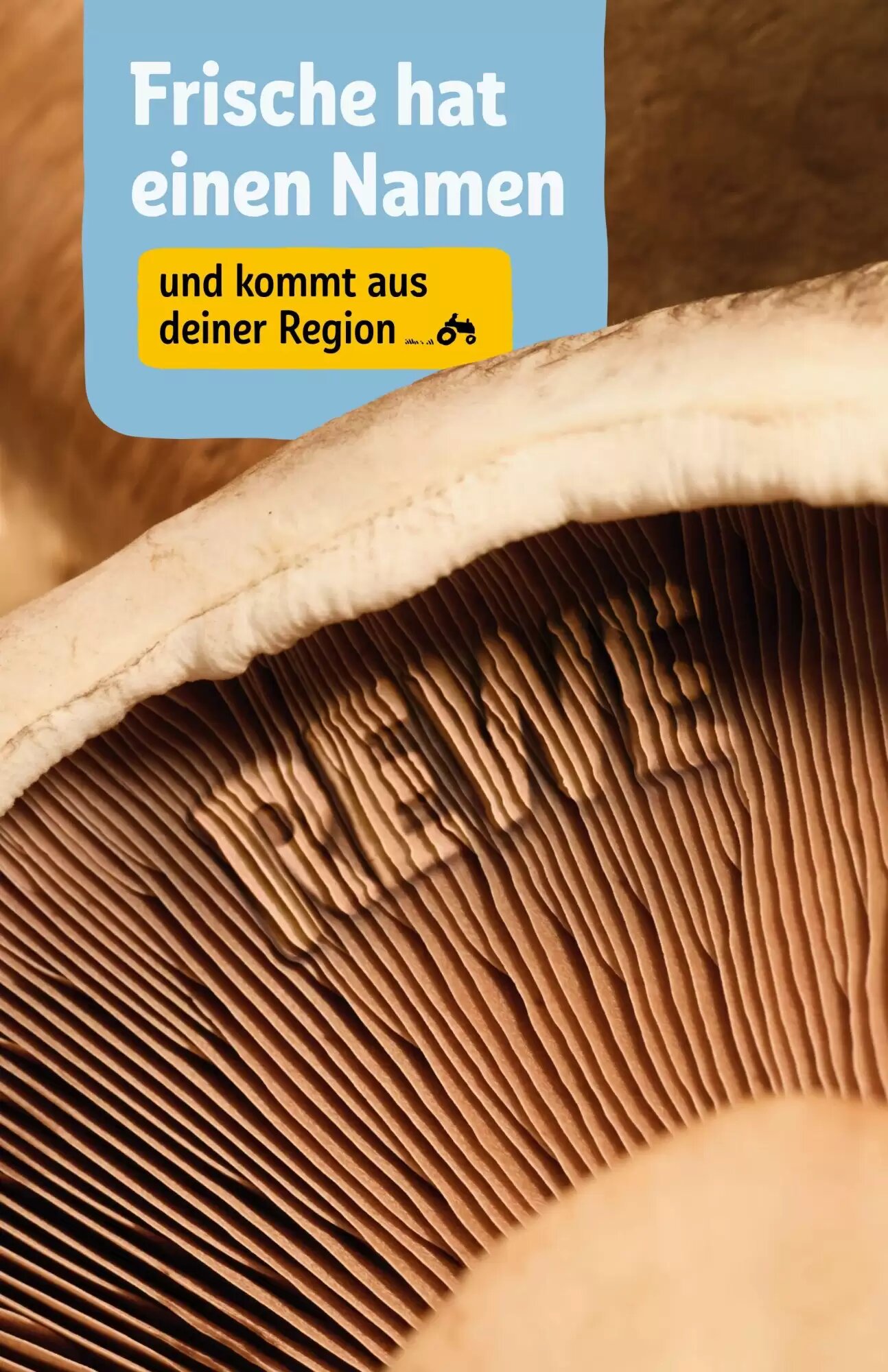 REWE Center Prospekt (ab 27.07.2026) zum Blättern - Seite 19