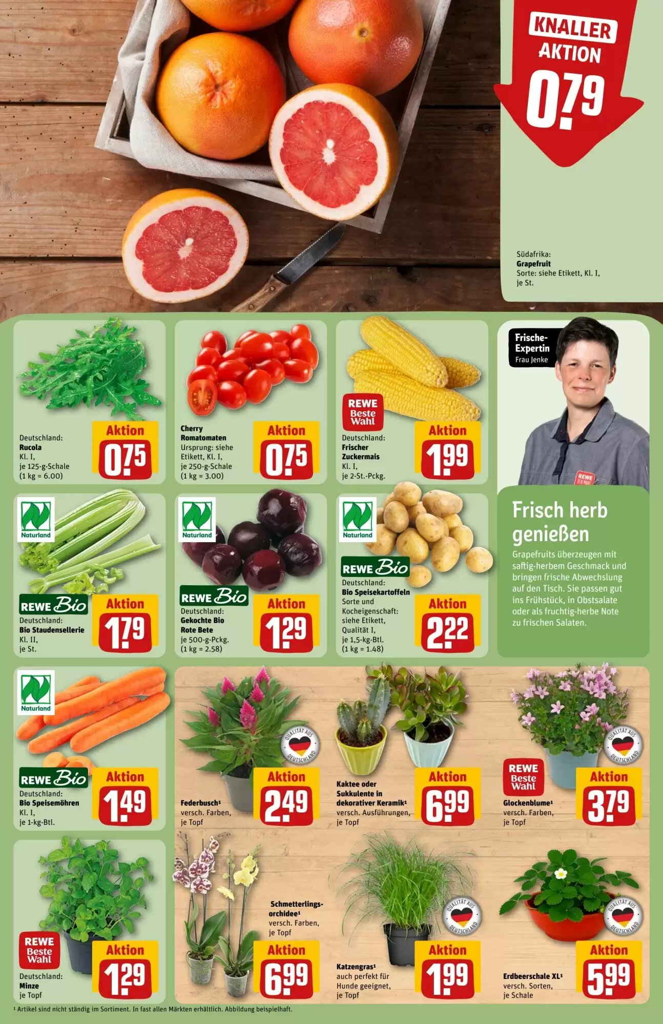 REWE Center Prospekt (ab 27.07.2026) zum Blättern - Seite 7