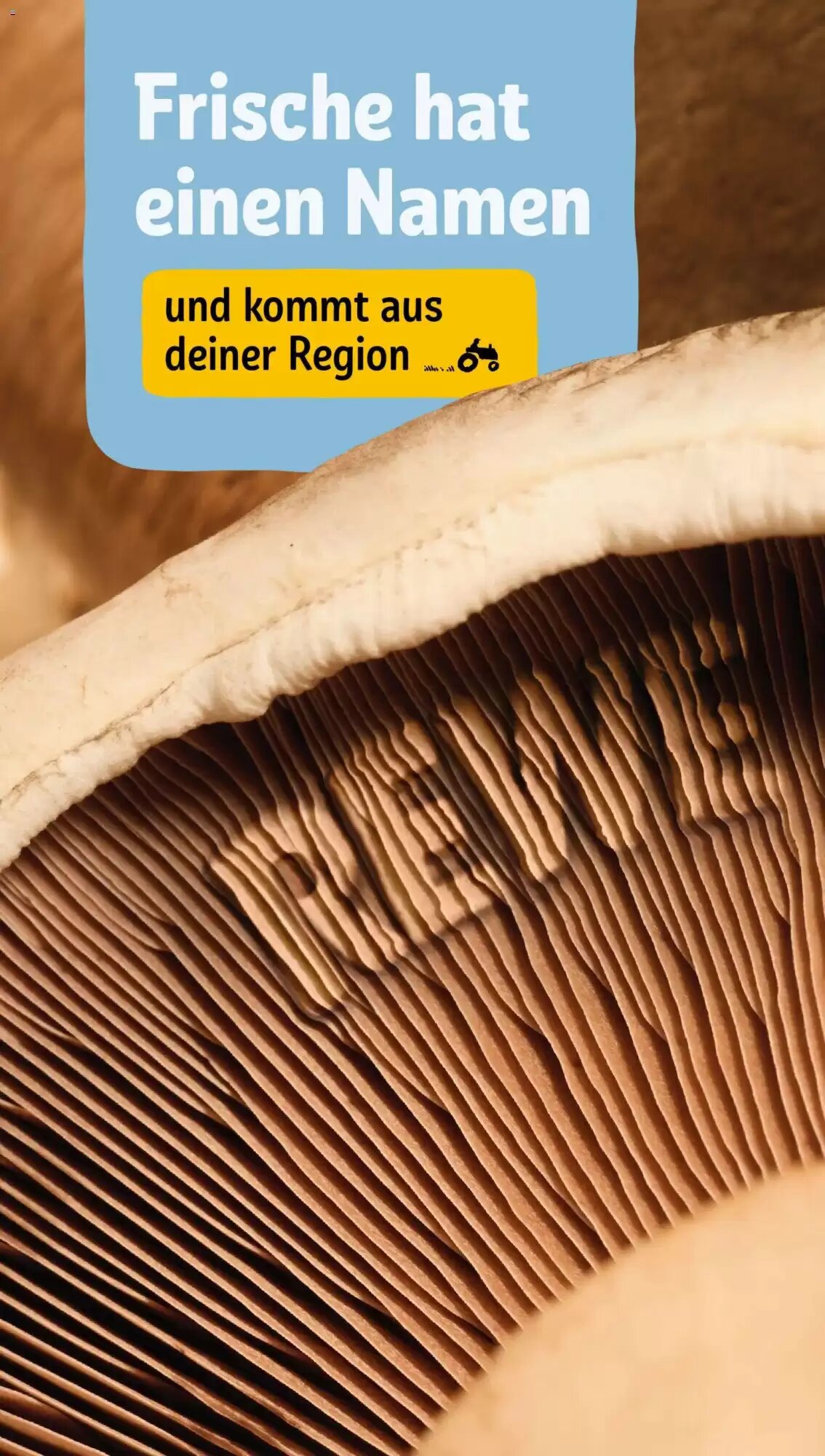 REWE Kaufpark Prospekt (ab 27.07.2026) zum Blättern - Seite 28