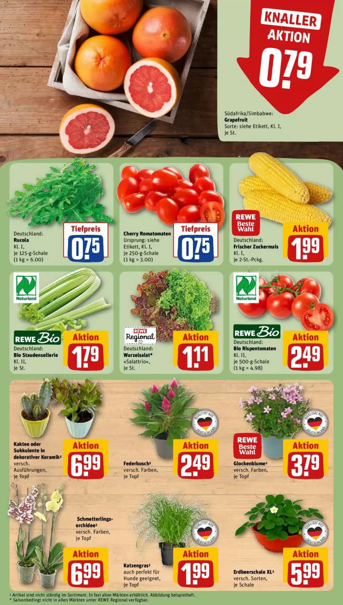 REWE Kaufpark Prospekt (ab 27.07.2026) zum Blättern - Seite 5