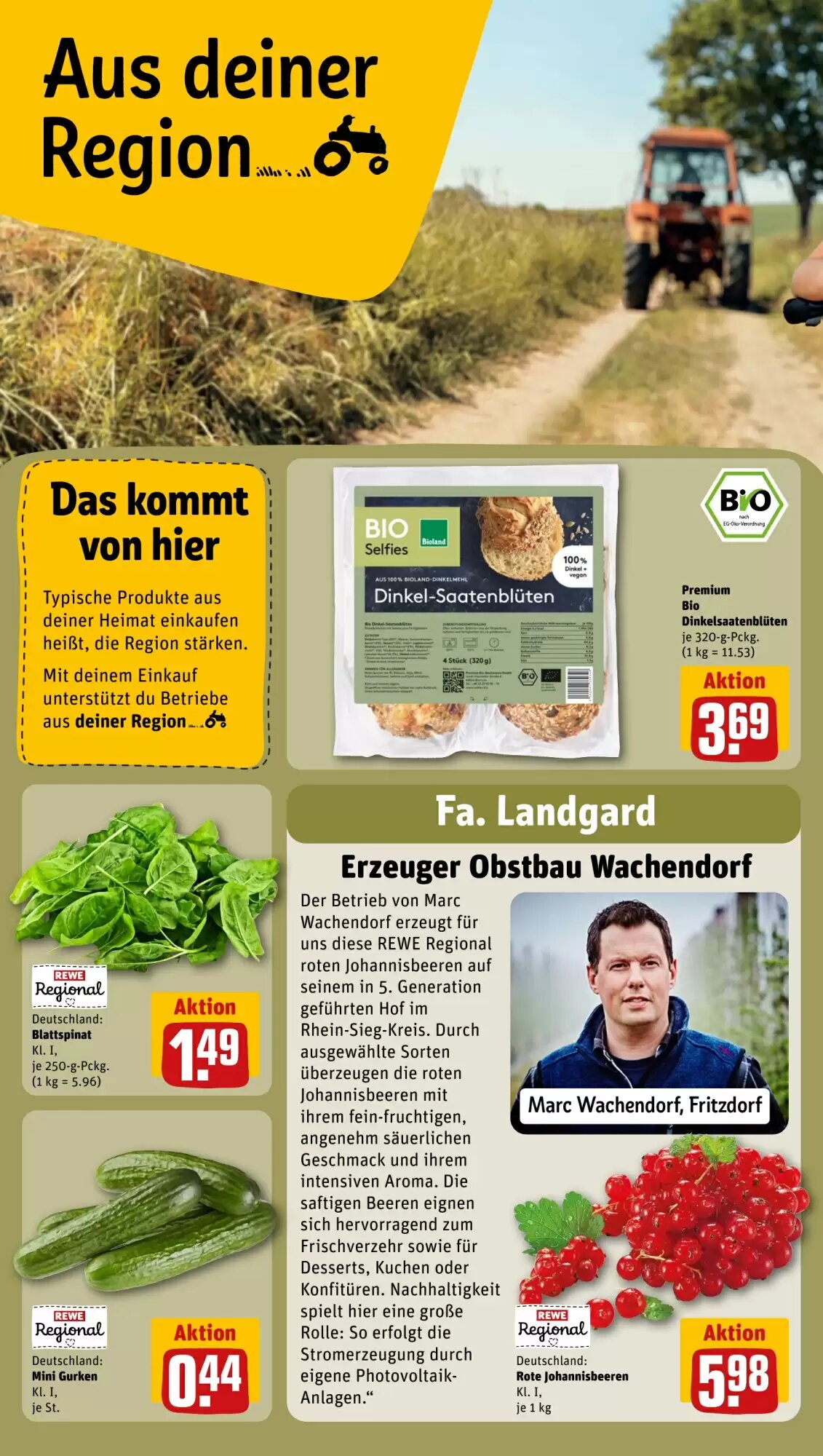 REWE PETZ Prospekt (ab 27.07.2026) zum Blättern - Seite 24