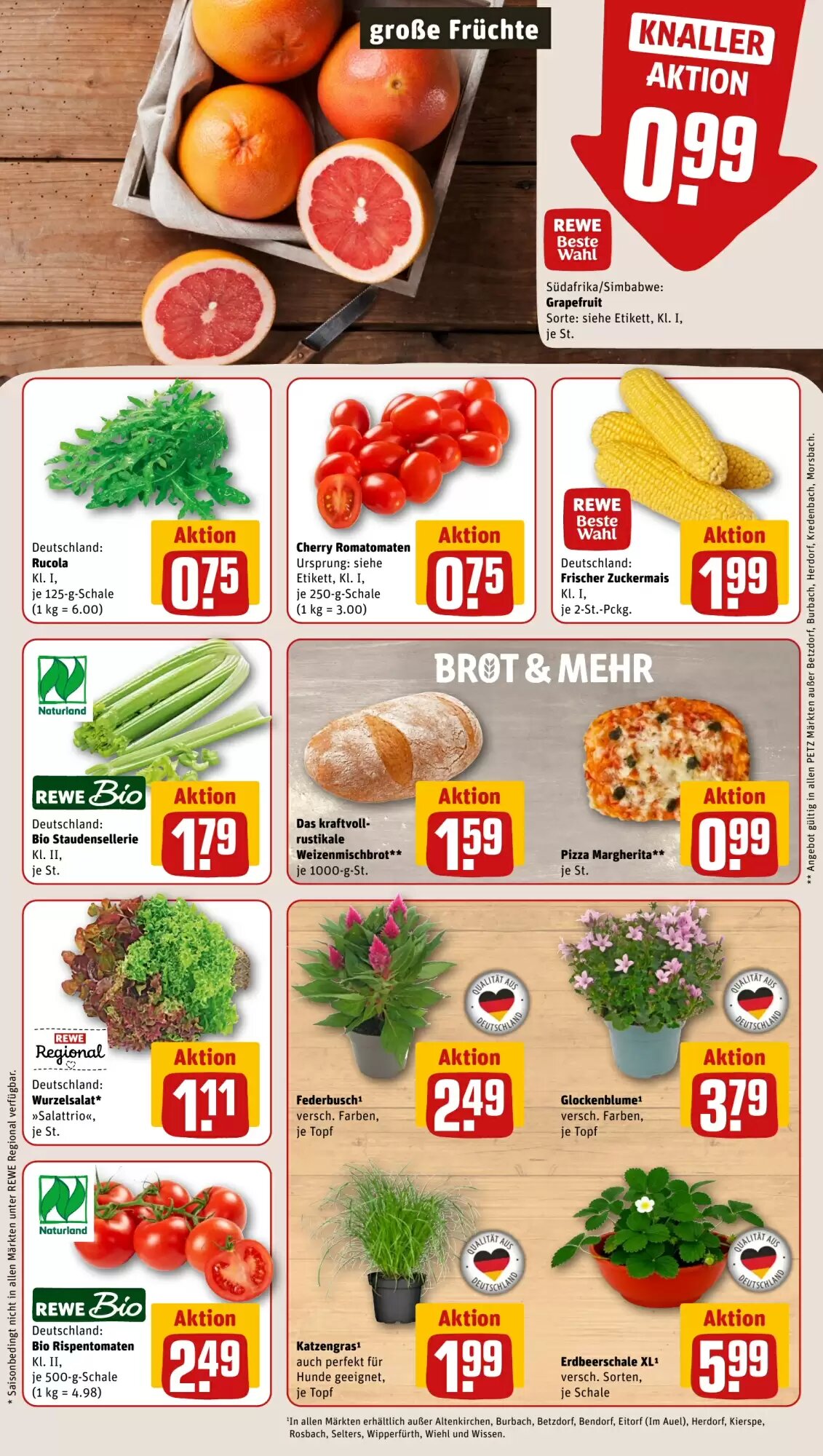 REWE PETZ Prospekt (ab 27.07.2026) zum Blättern - Seite 7