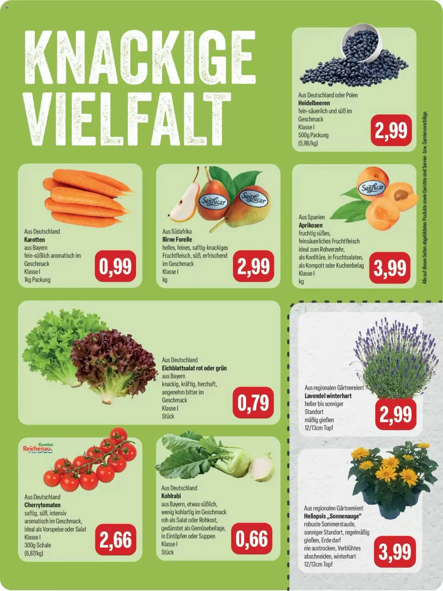 Feneberg Prospekt (ab 30.07.2026) zum Blättern - Seite 7