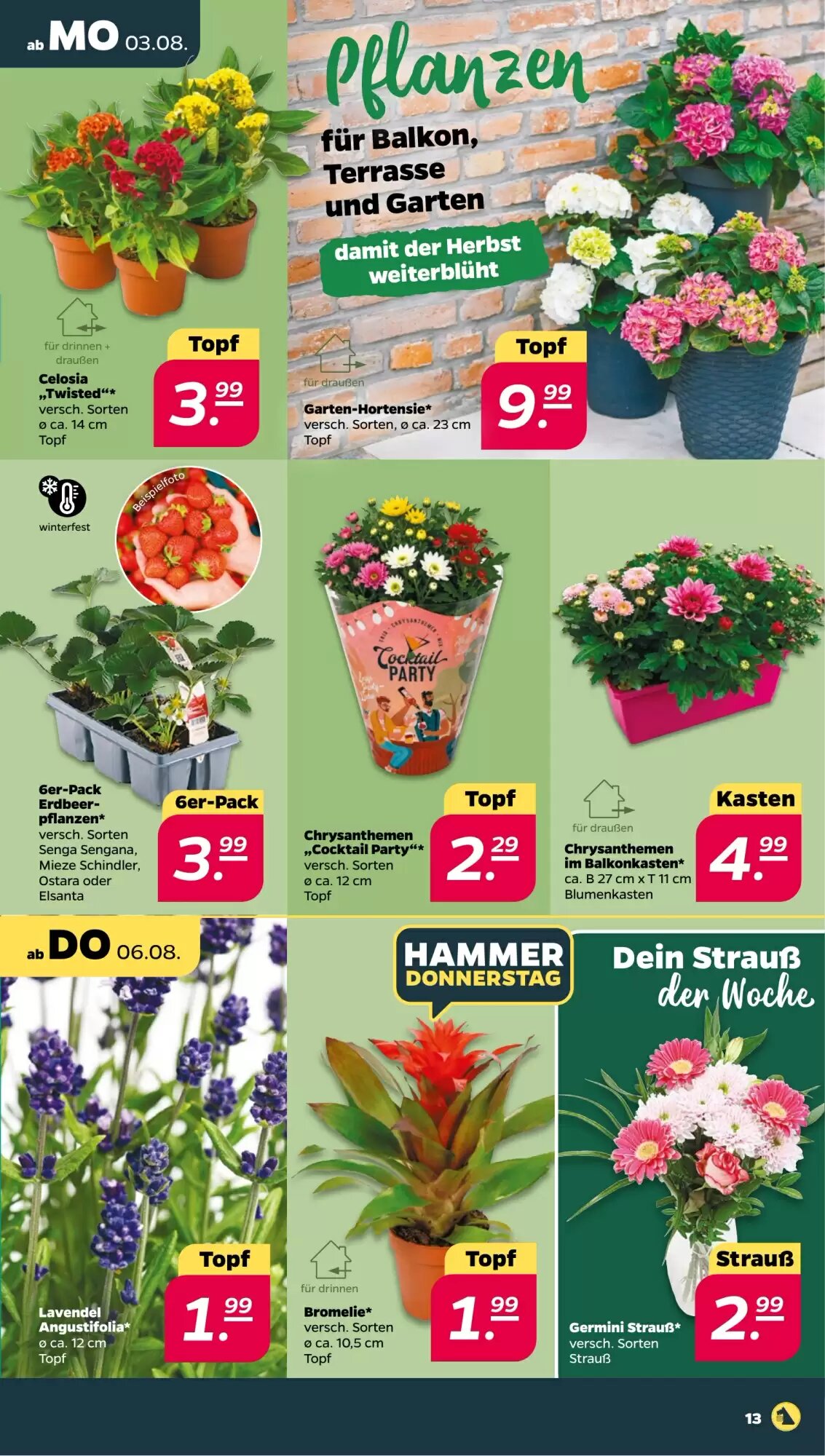 NETTO Prospekt (ab 03.08.2026) zum Blättern - Seite 15