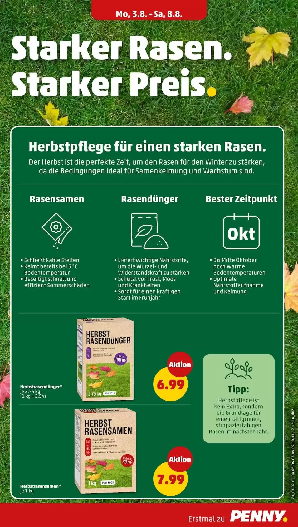 PENNY Prospekt (ab 03.08.2026) zum Blättern - Seite 21