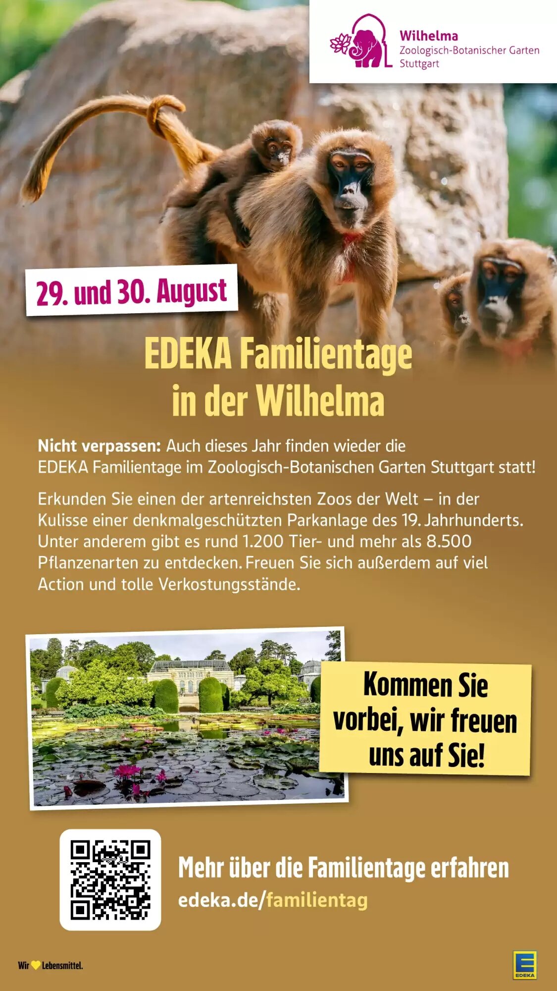Edeka Stenger Prospekt (ab 03.08.2026) zum Blättern - Seite 52