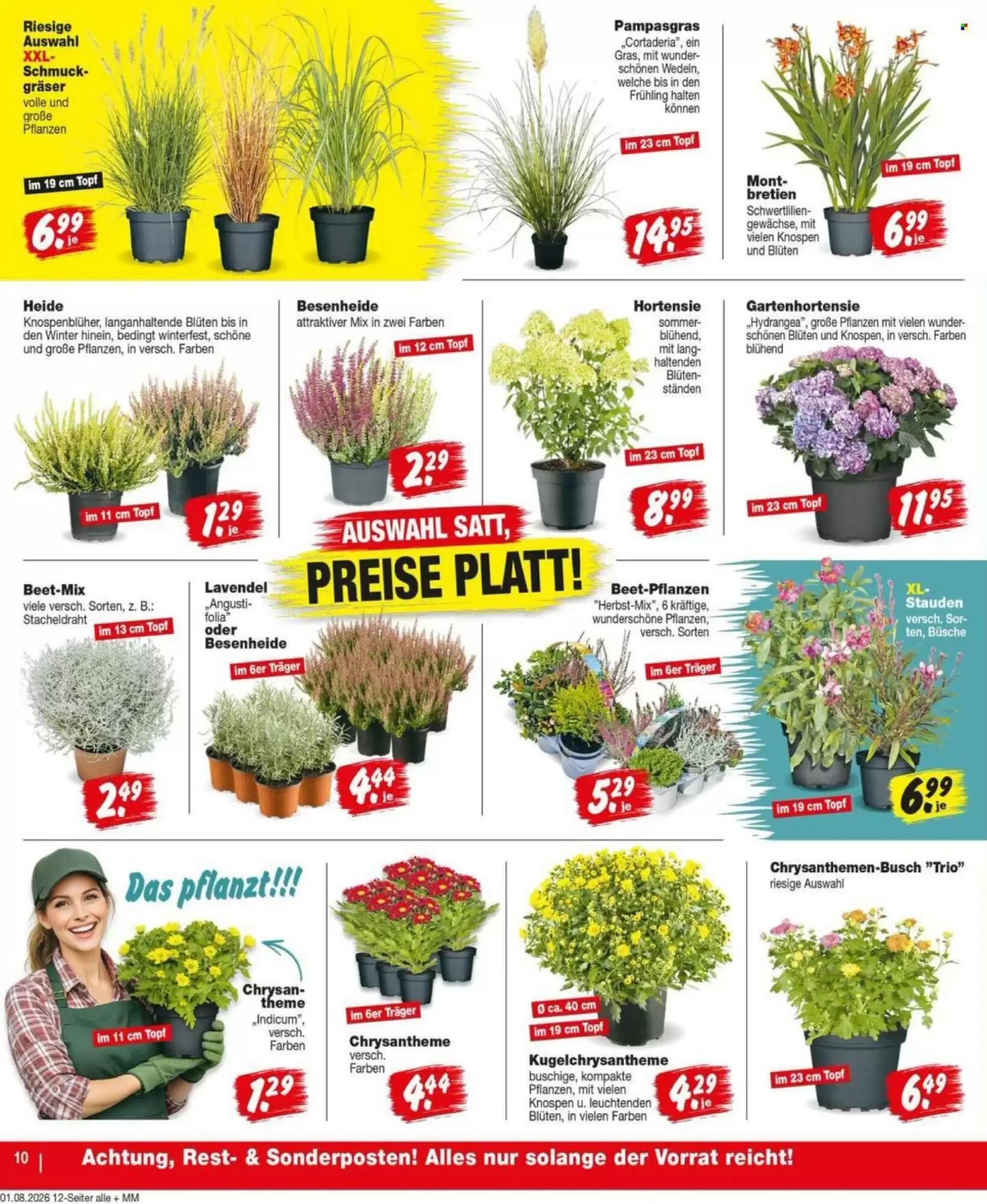 Repo Markt Prospekt (ab 03.08.2026) zum Blättern - Seite 10