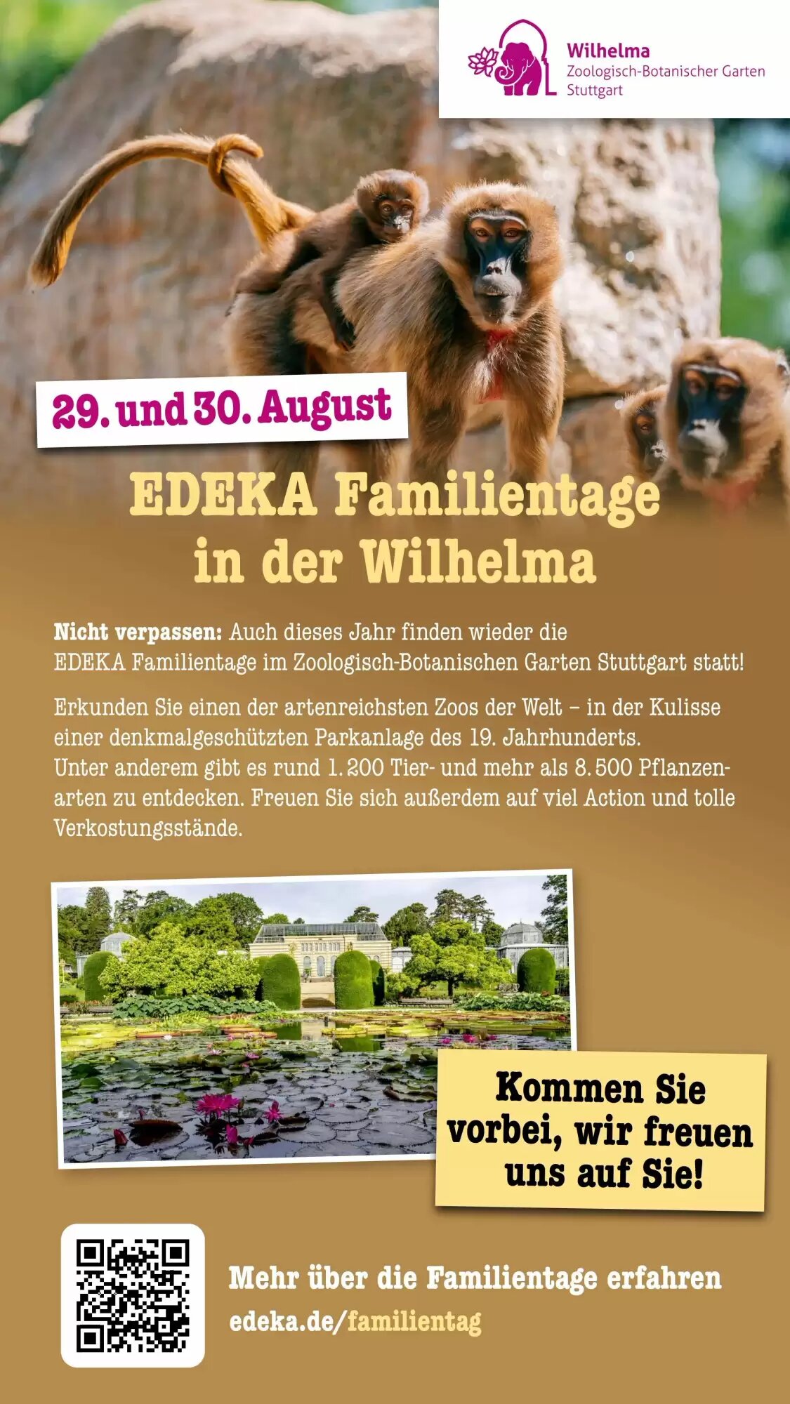 Scheck-in-Center Prospekt (ab 03.08.2026) zum Blättern - Seite 63