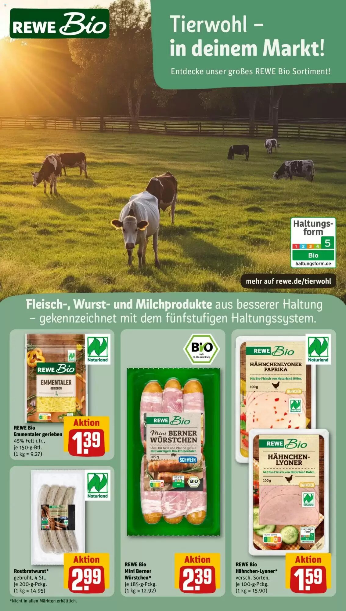 REWE Kaufpark Prospekt (ab 03.08.2026) zum Blättern - Seite 15