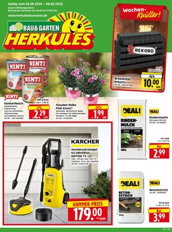 Herkules Baumarkt Prospekt (ab 03.08.2026) zum Blättern