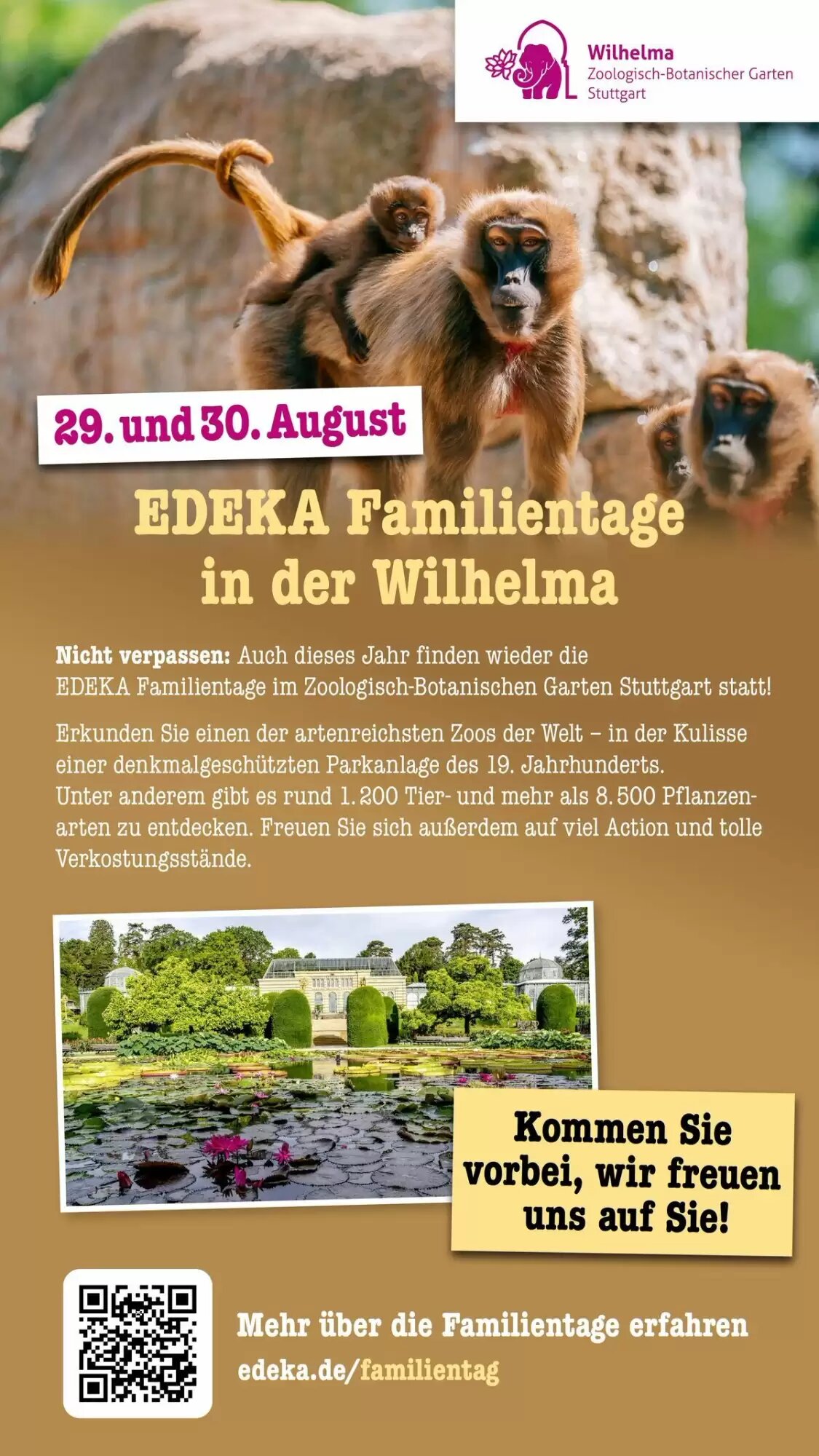 Scheck-in-Center Prospekt (ab 04.08.2026) zum Blättern - Seite 60