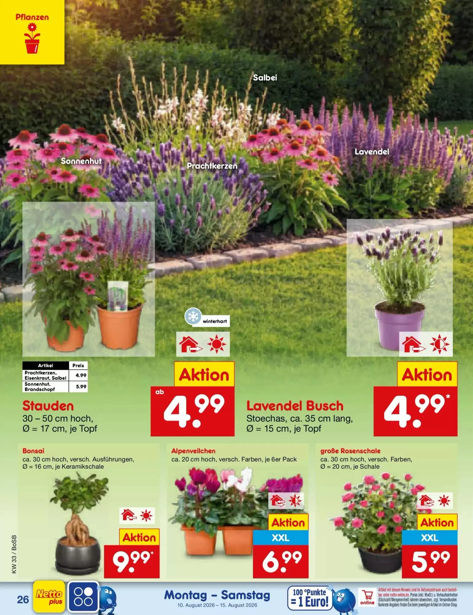 Netto Marken-Discount Prospekt (ab 09.08.2026) zum Blättern - Seite 38