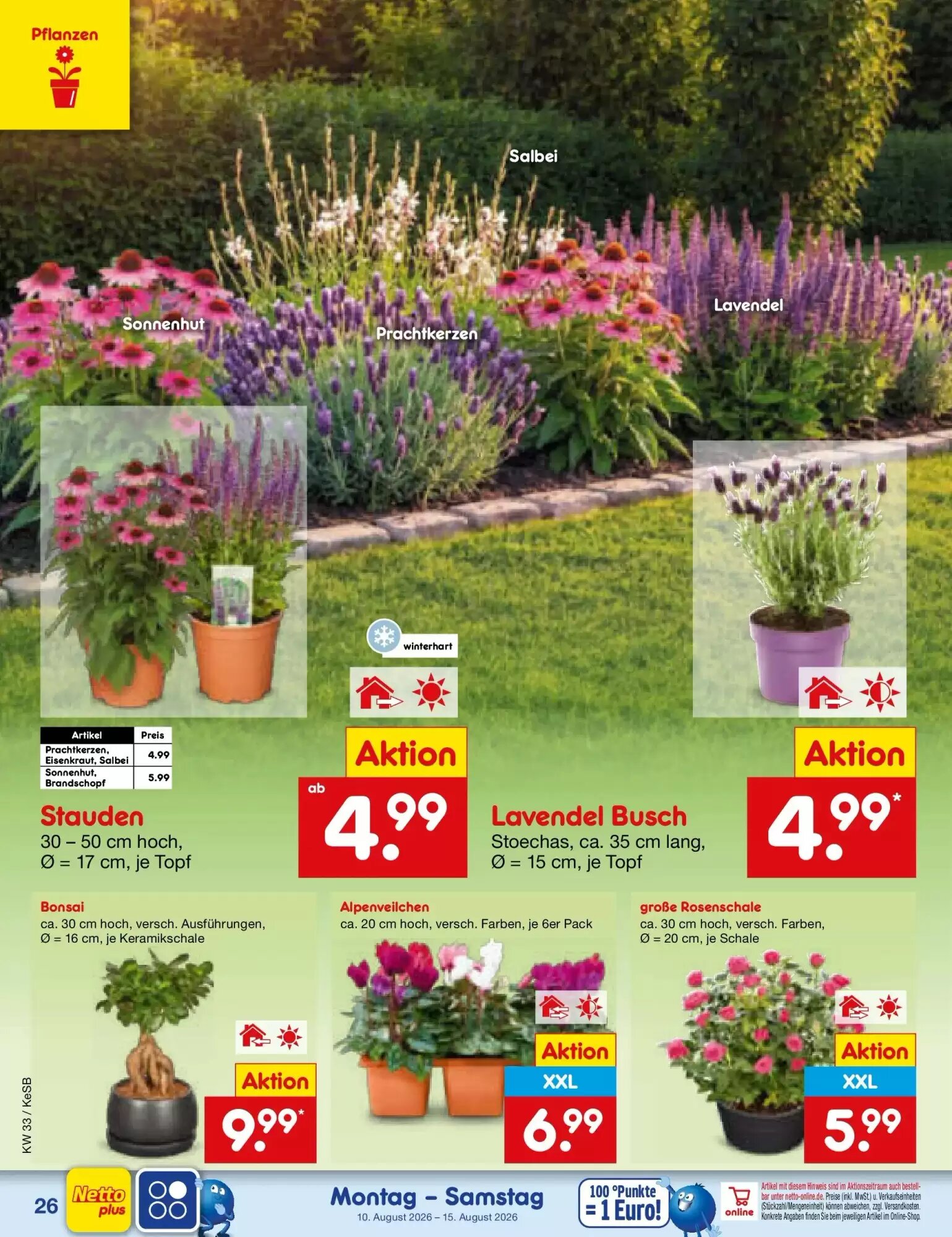 Netto Marken-Discount Prospekt (ab 09.08.2026) zum Blättern - Seite 38