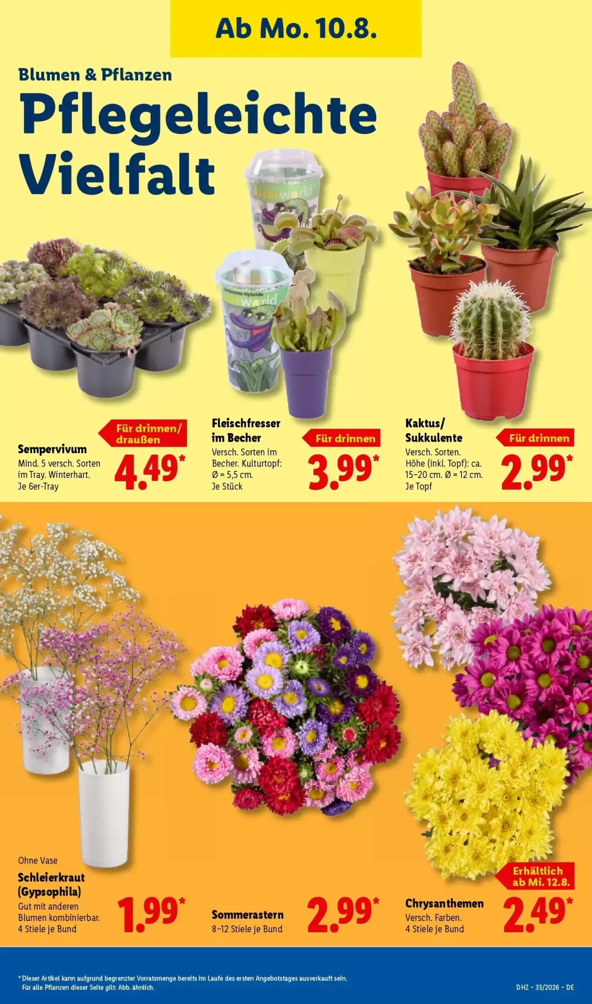 Lidl Prospekt (ab 10.08.2026) zum Blättern - Seite 23