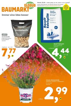 Globus Baumarkt Prospekt (ab 10.08.2026) zum Blättern