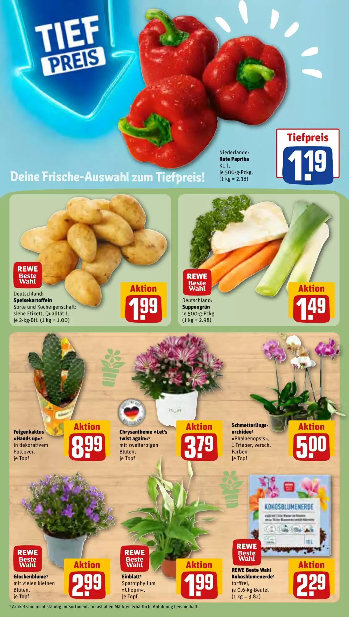 REWE Center Prospekt (ab 10.08.2026) zum Blättern - Seite 7