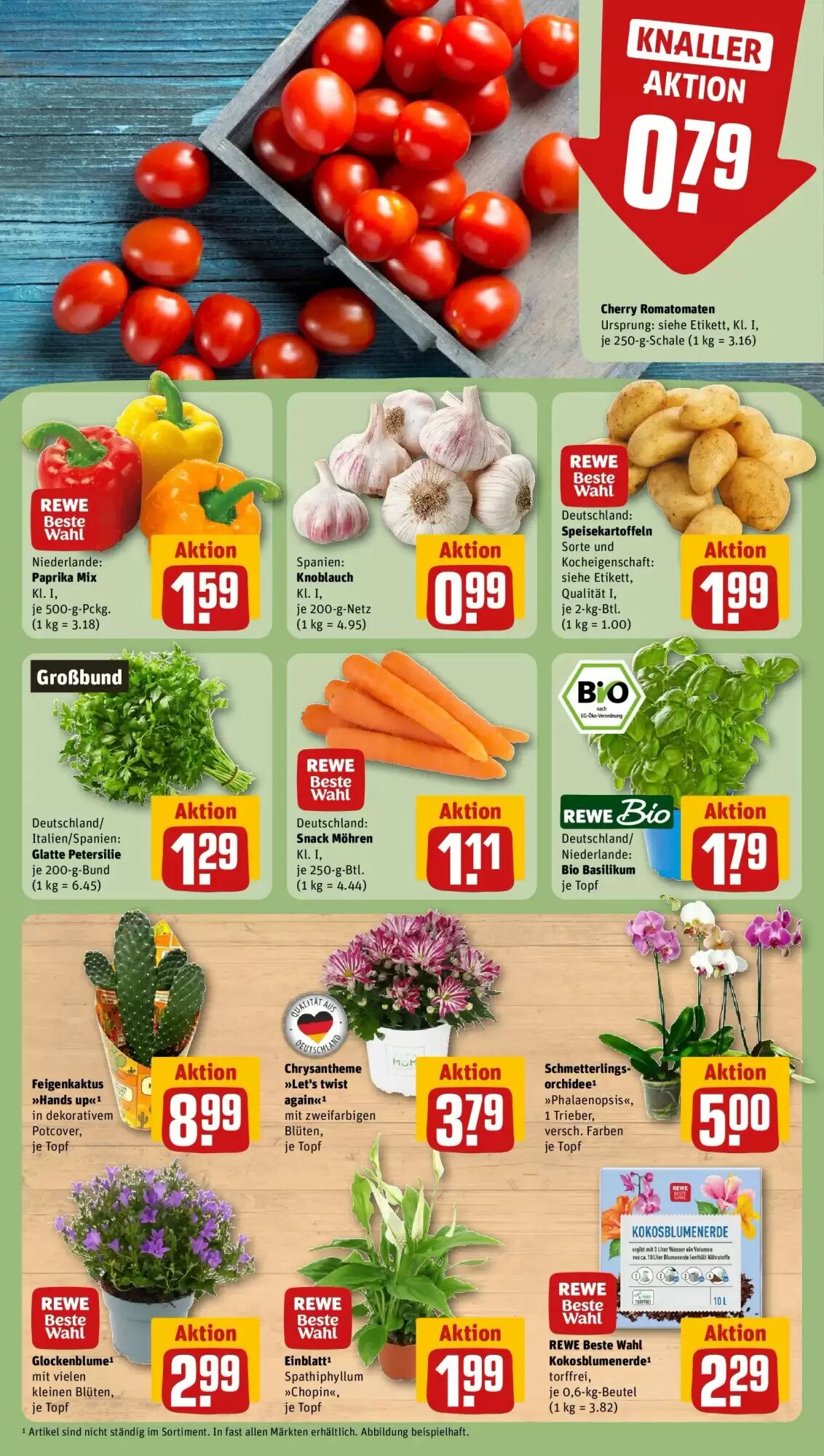 REWE Prospekt (ab 10.08.2026) zum Blättern - Seite 5